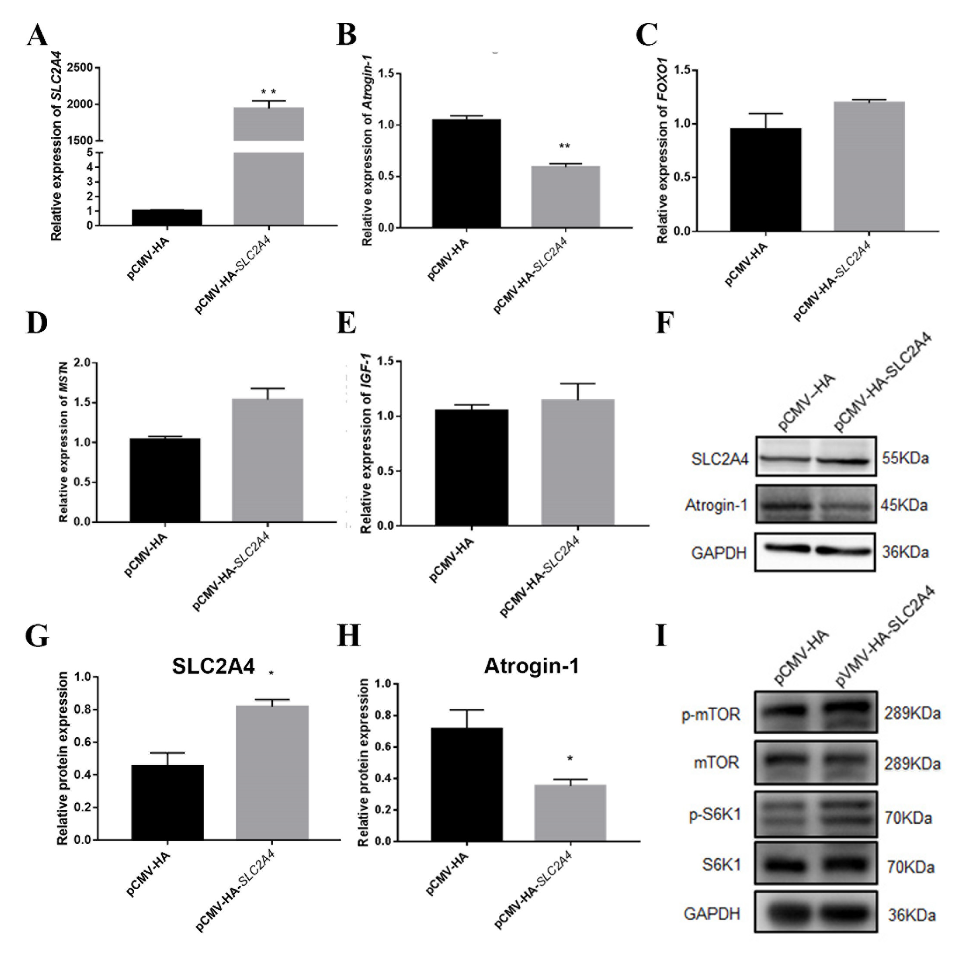 Biomolecules 11 00721 g008