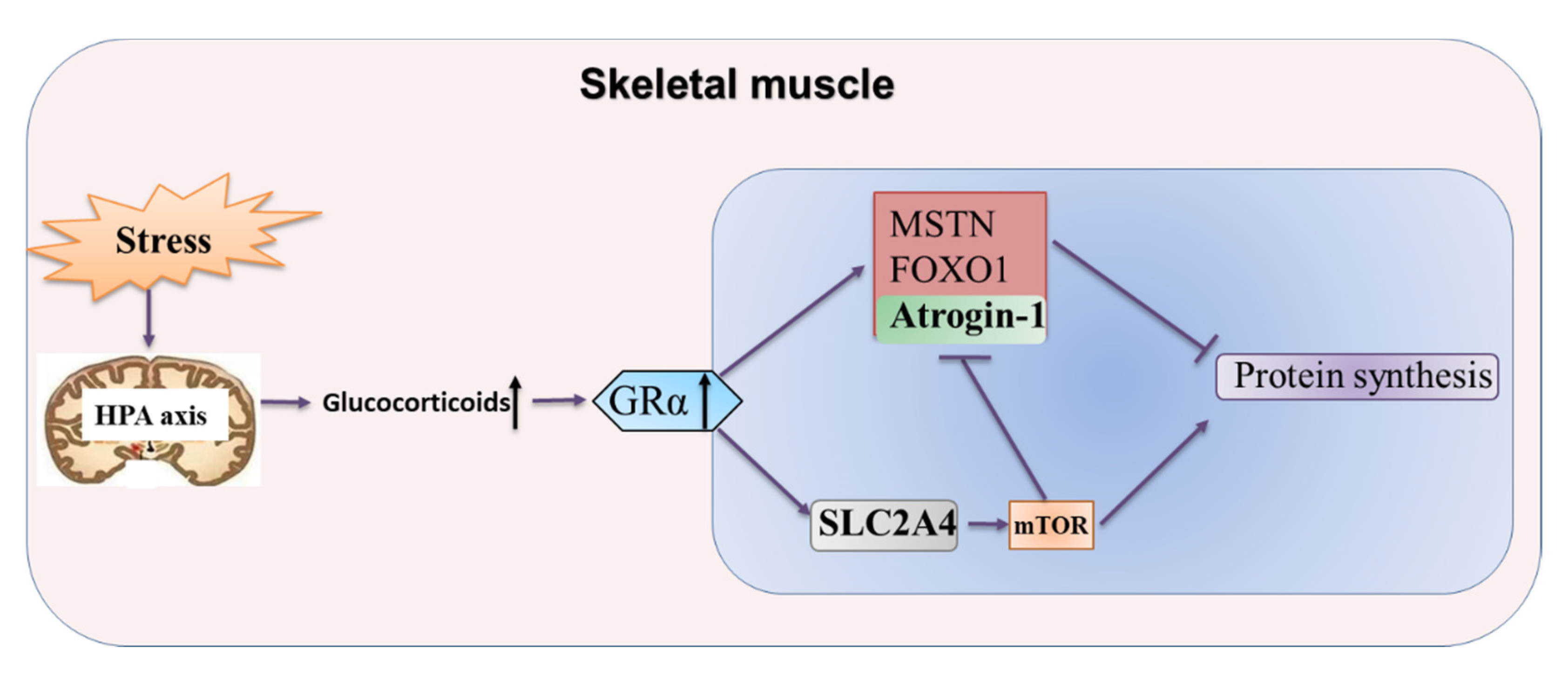 Biomolecules 11 00721 g009