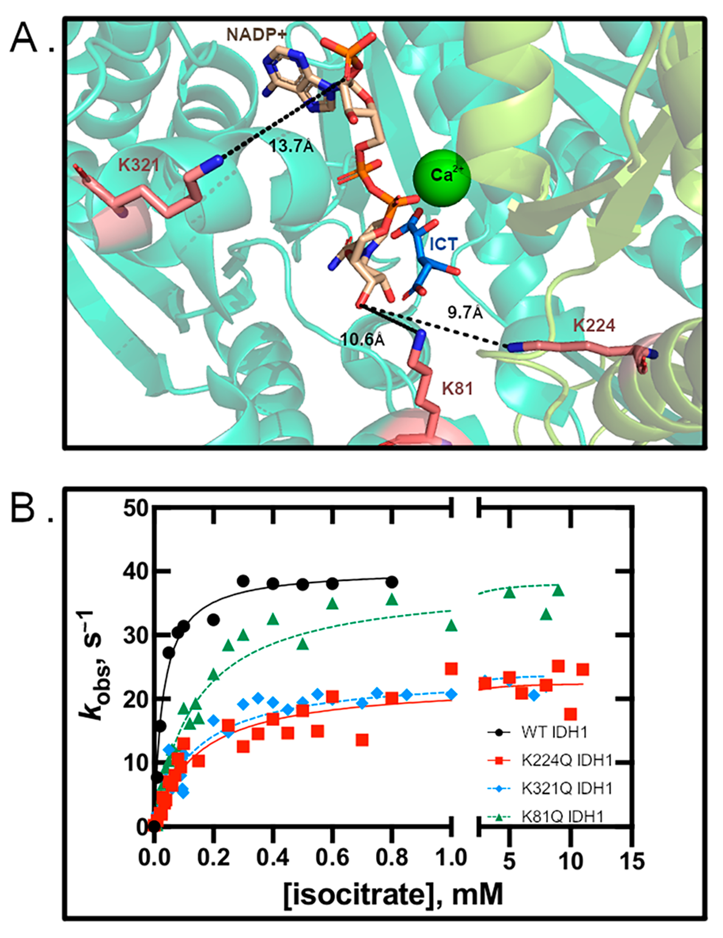 Biomolecules 11 00740 g001
