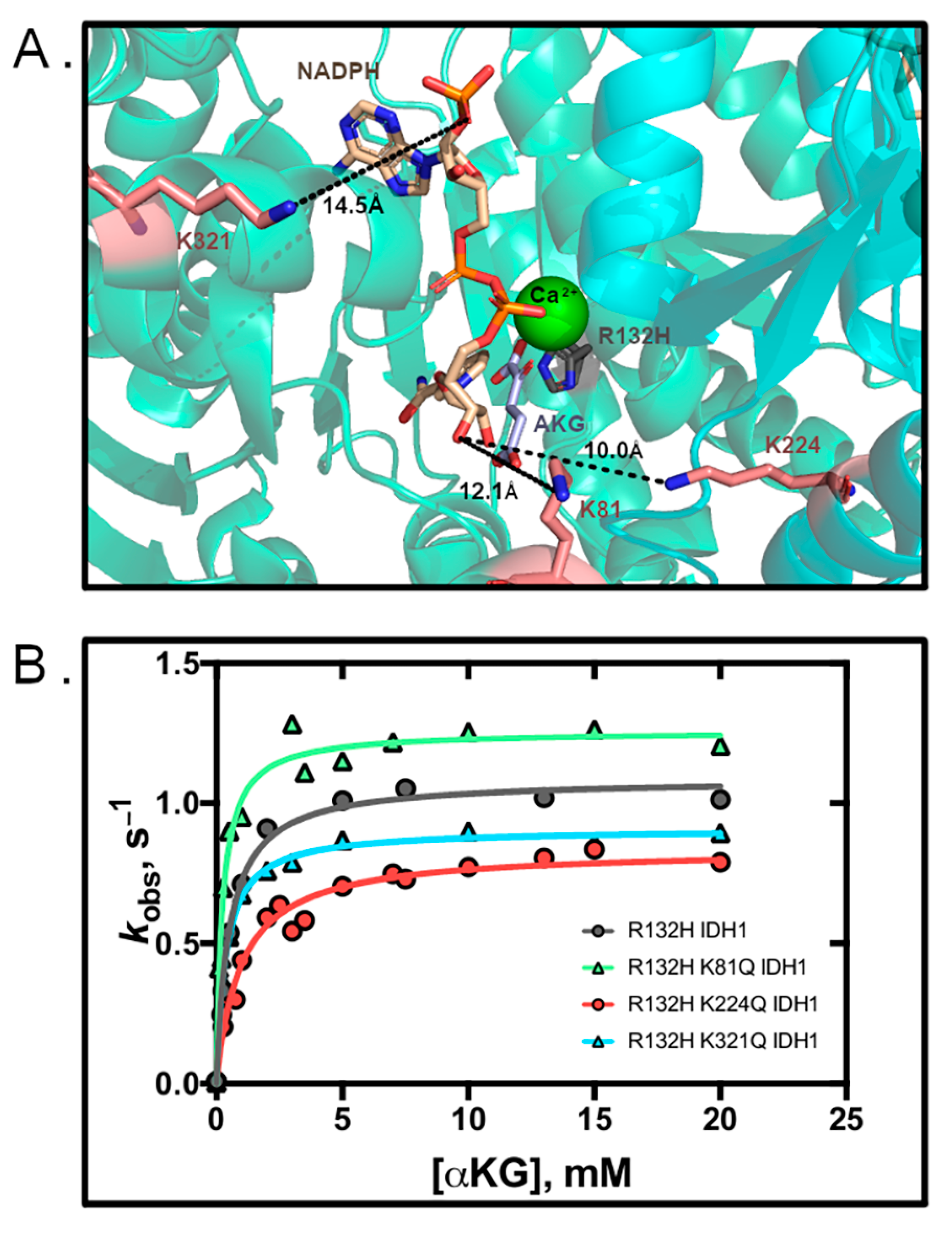 Biomolecules 11 00740 g002