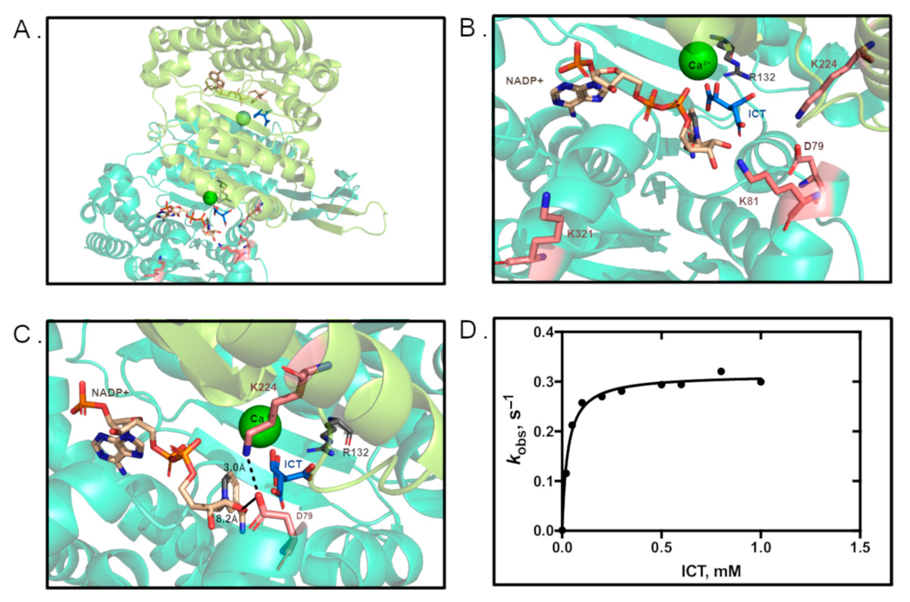 Biomolecules 11 00740 g003