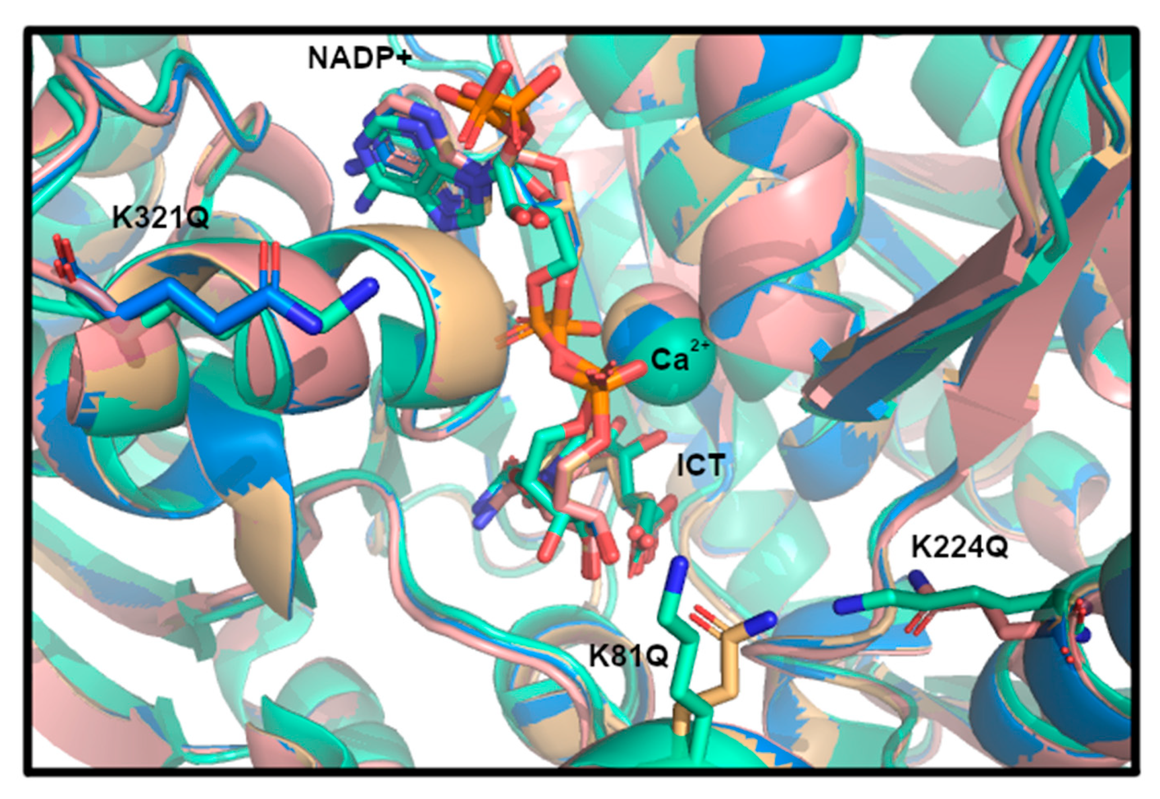 Biomolecules 11 00740 g004