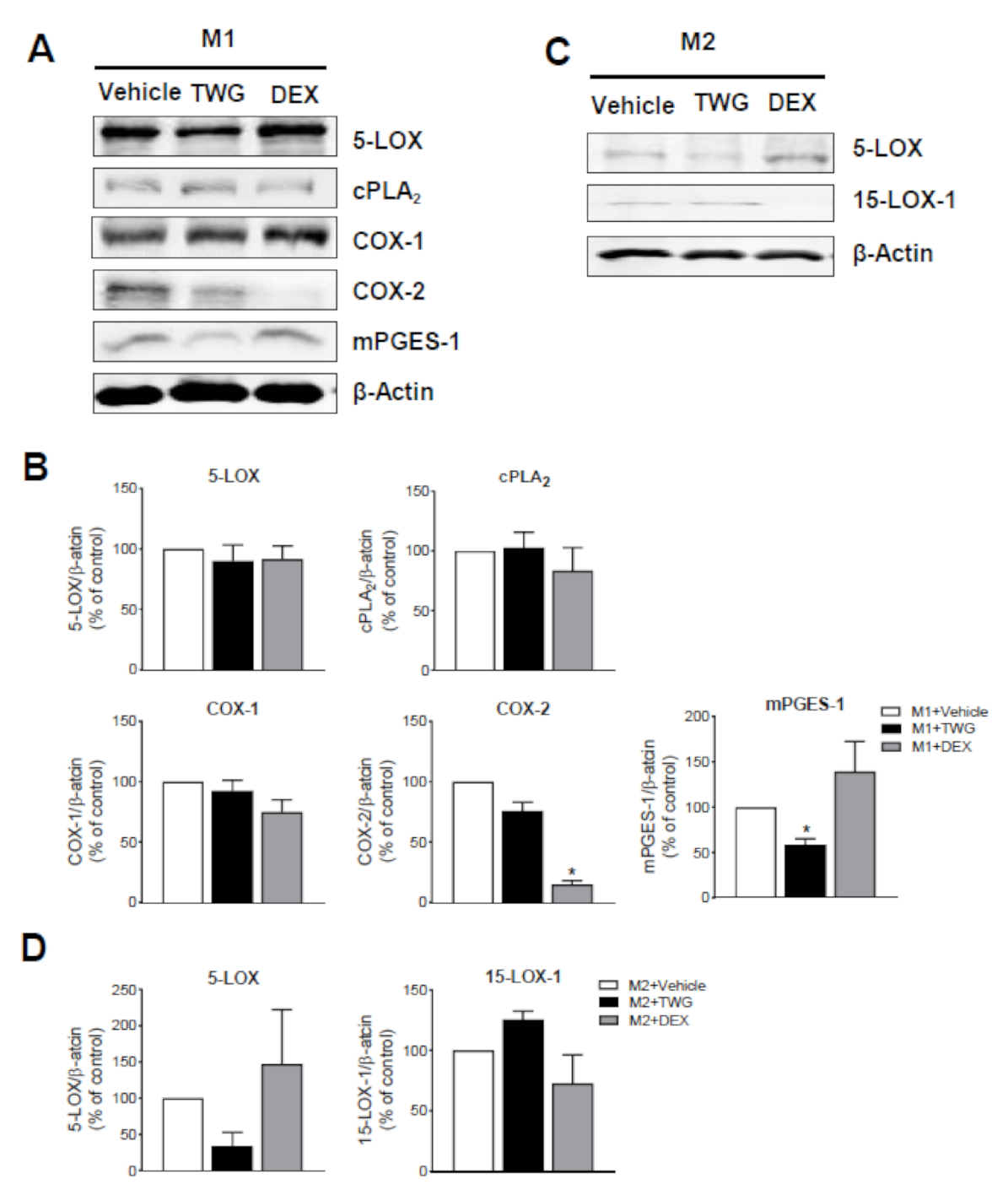 Biomolecules 11 00746 g005