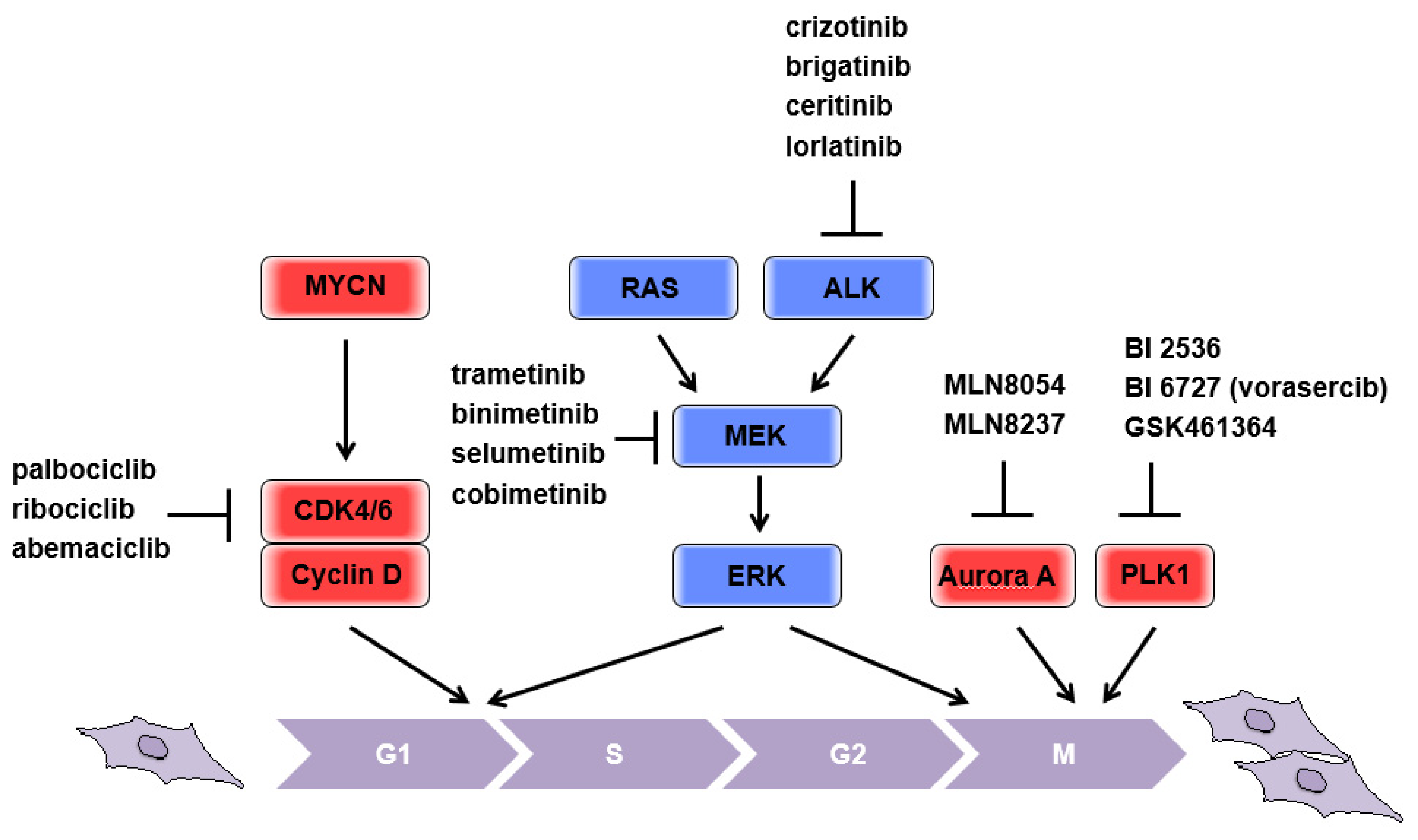 Biomolecules 11 00750 g001