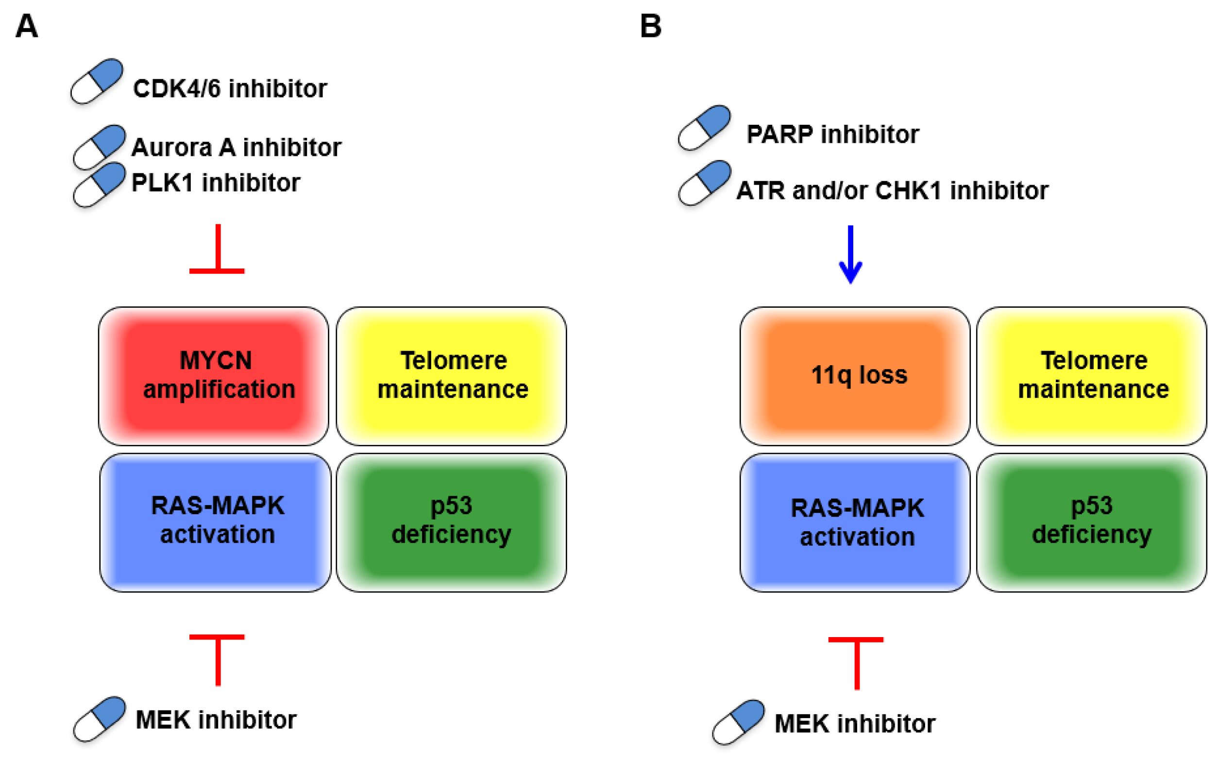 Biomolecules 11 00750 g003