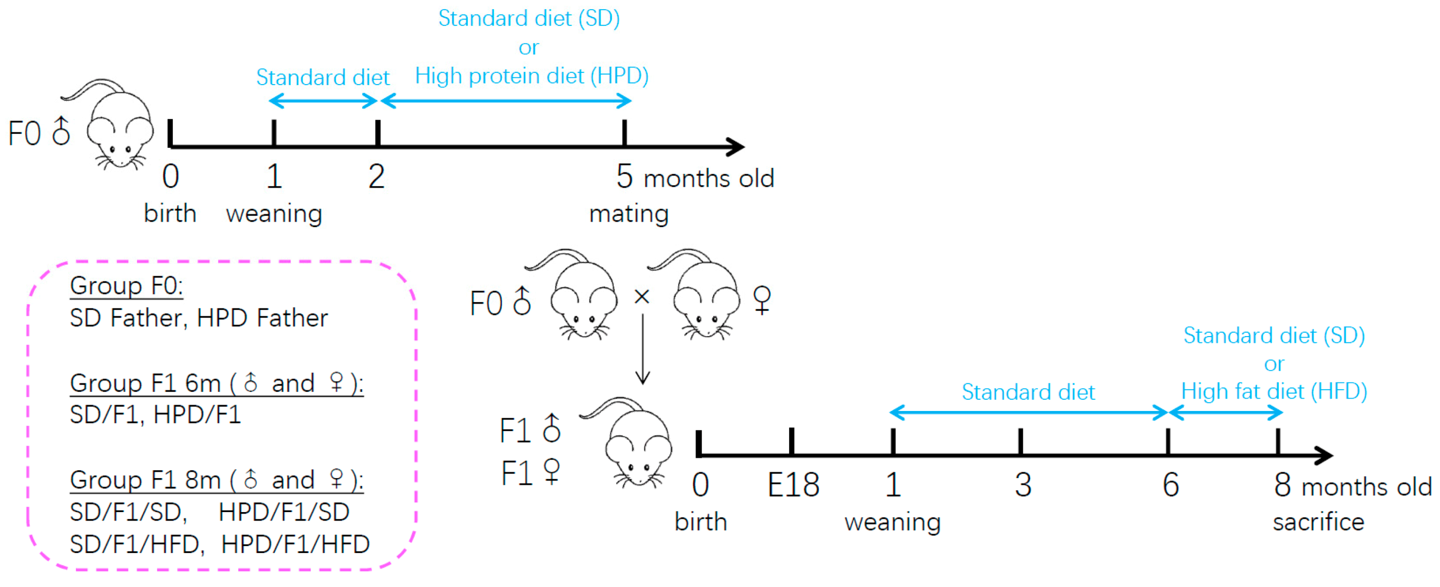 Biomolecules 11 00751 g001