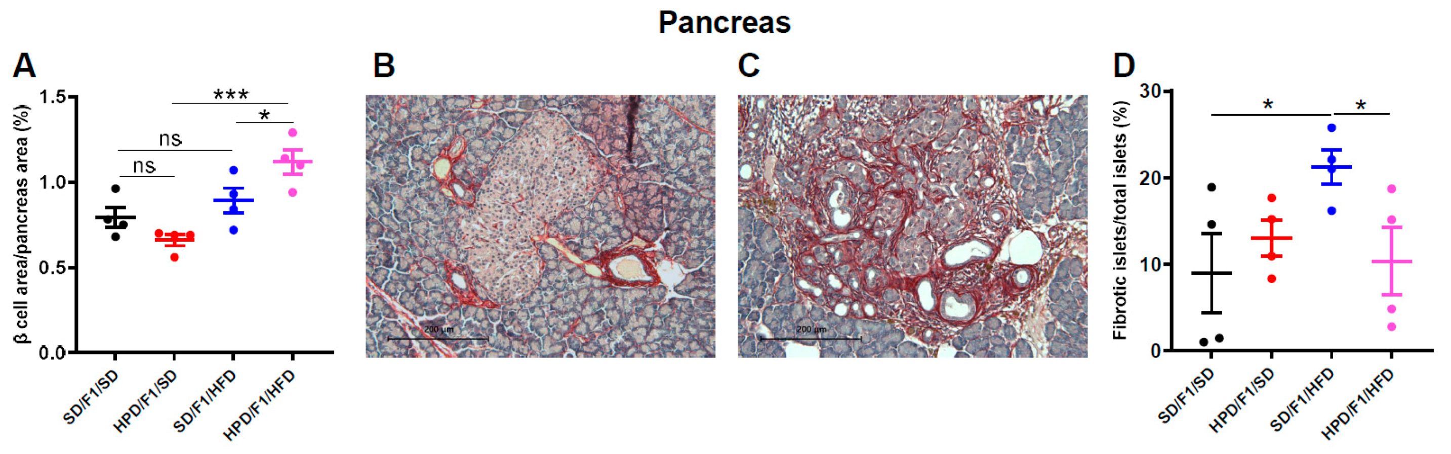 Biomolecules 11 00751 g006a