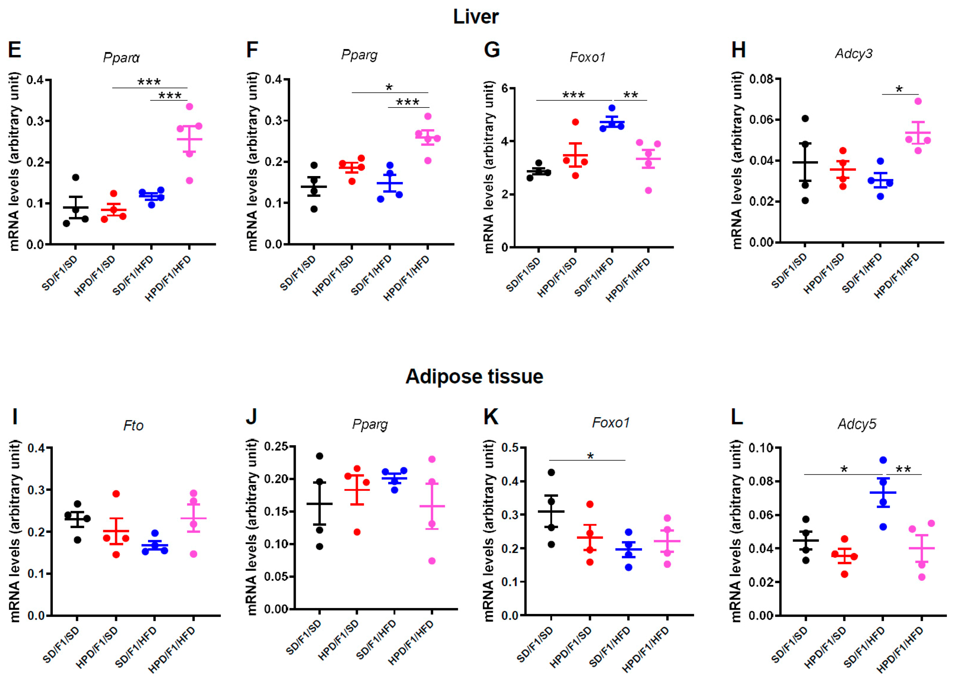 Biomolecules 11 00751 g006b