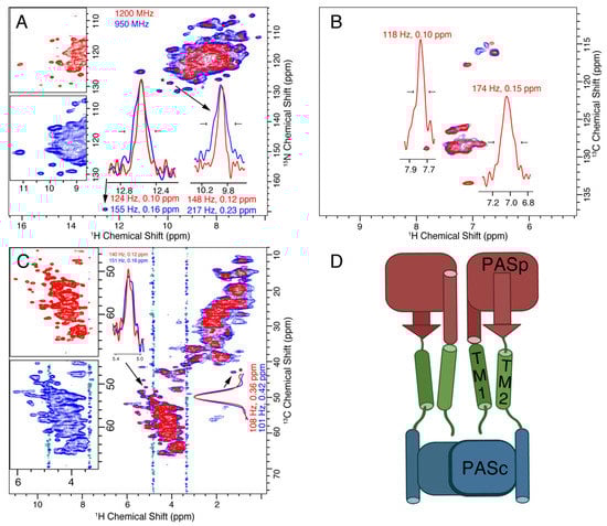 Biomolecules 11 00752 g002