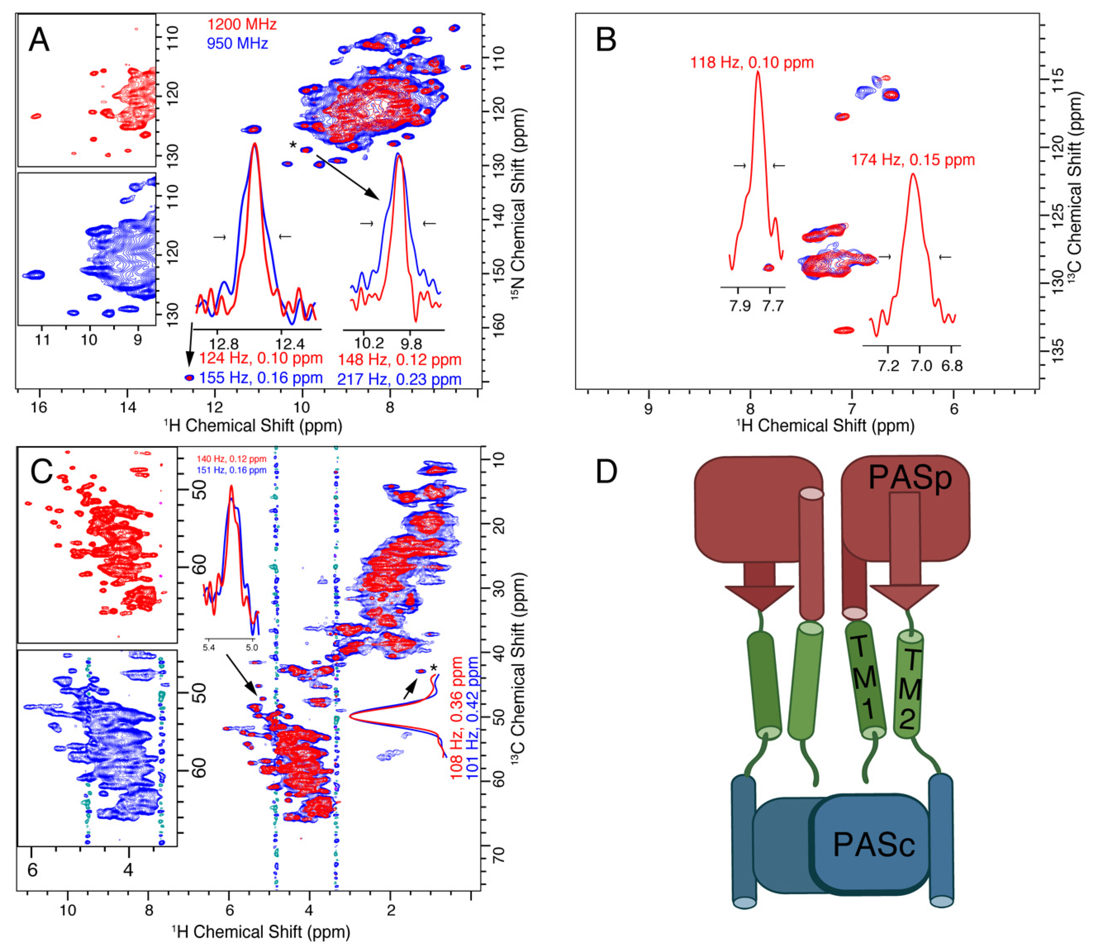 Biomolecules 11 00752 g002