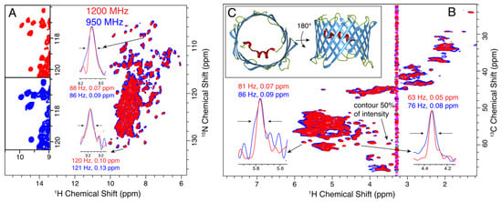Biomolecules 11 00752 g003