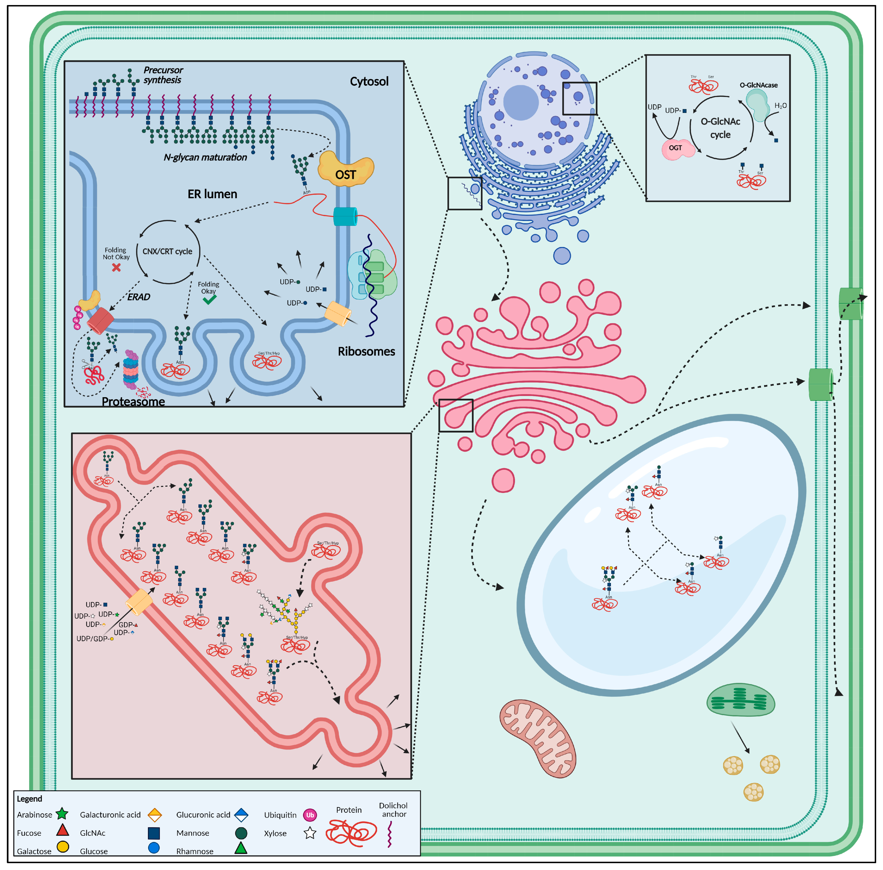 Biomolecules 11 00756 g002
