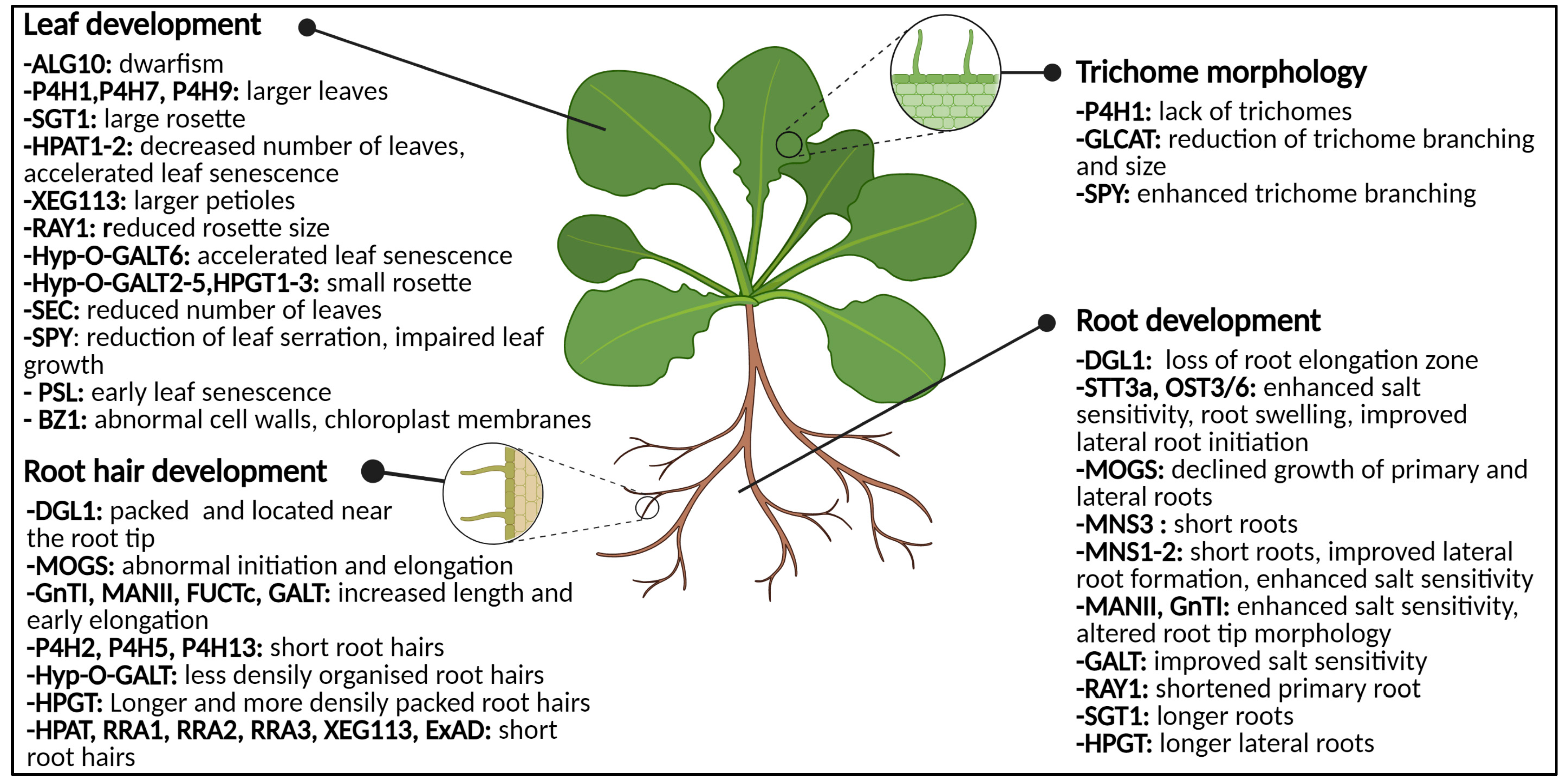 Biomolecules 11 00756 g005