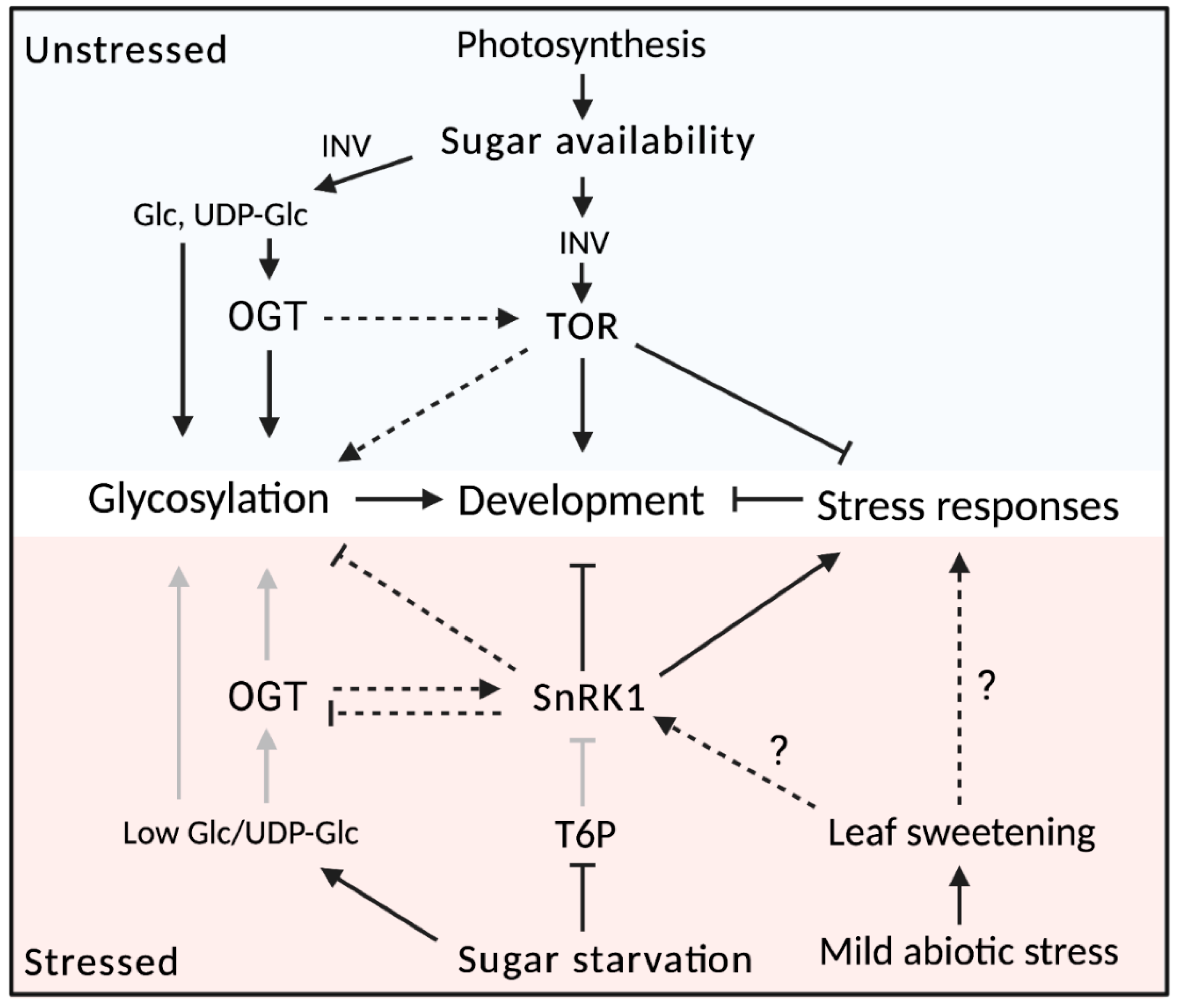Biomolecules 11 00756 g006