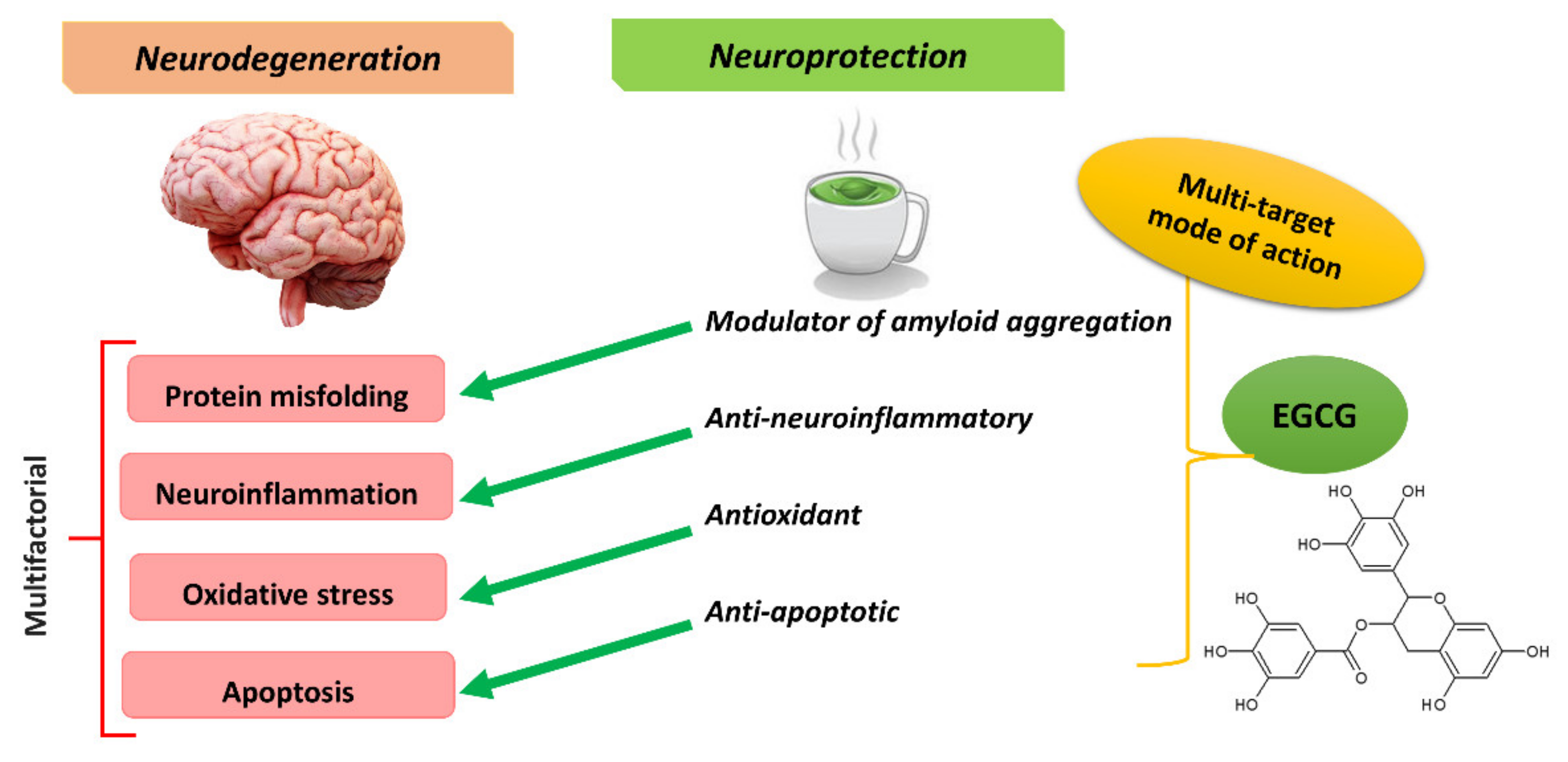 Biomolecules 11 00767 g001