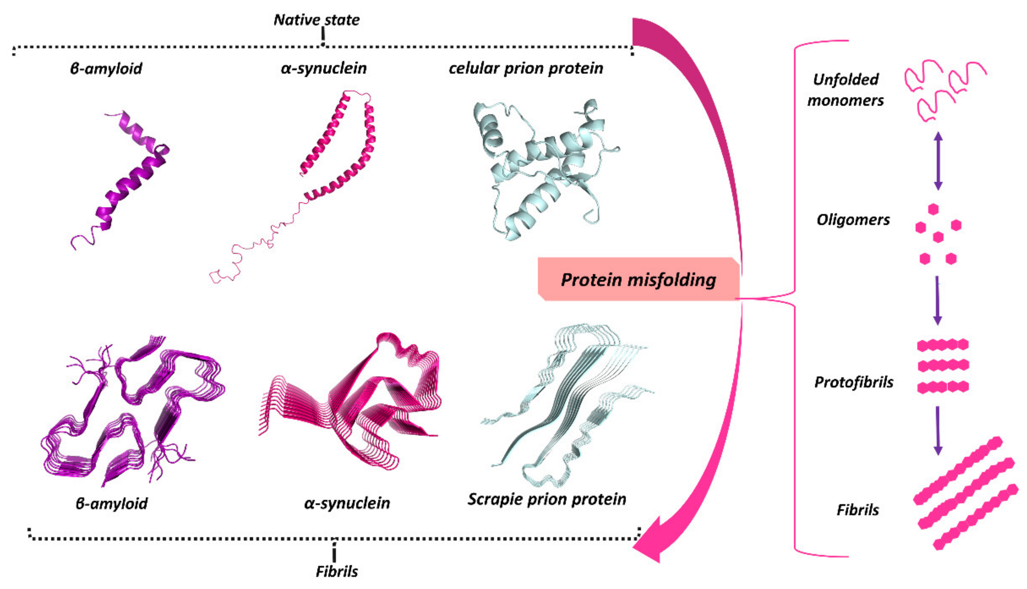 Biomolecules 11 00767 g002