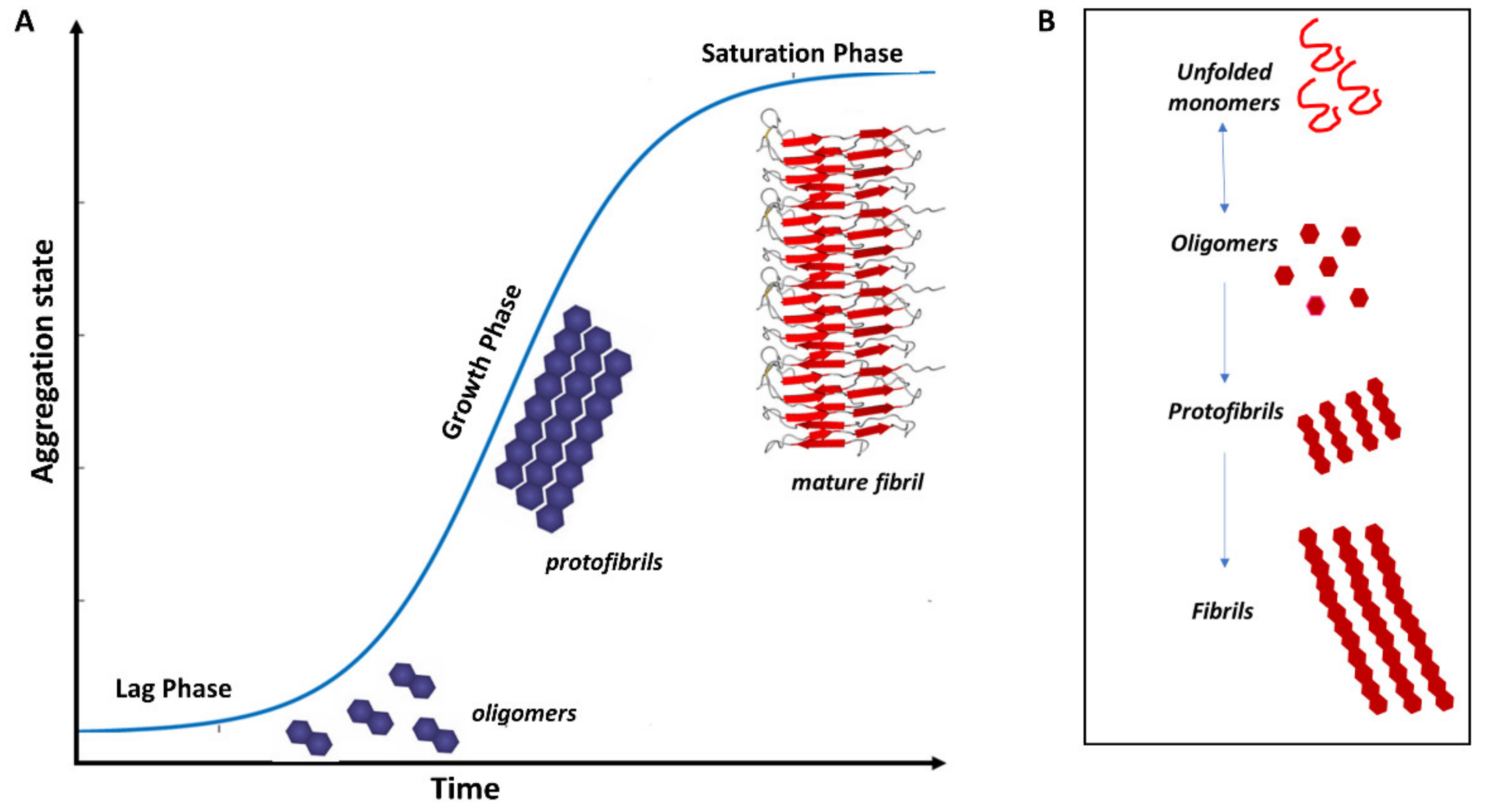 Biomolecules 11 00767 g003