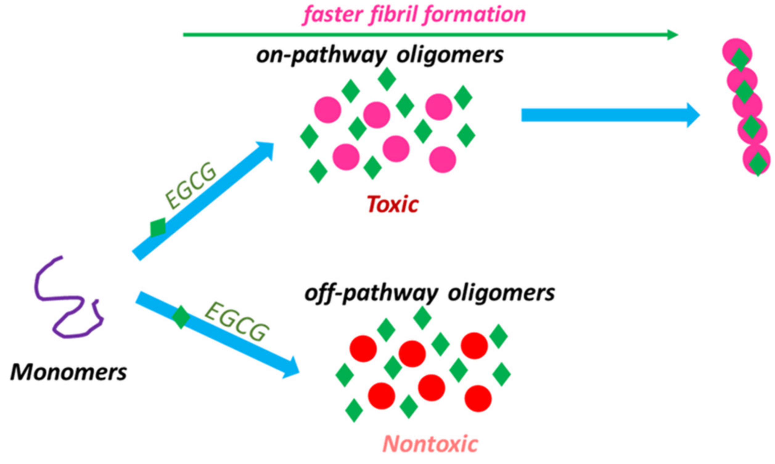 Biomolecules 11 00767 g004