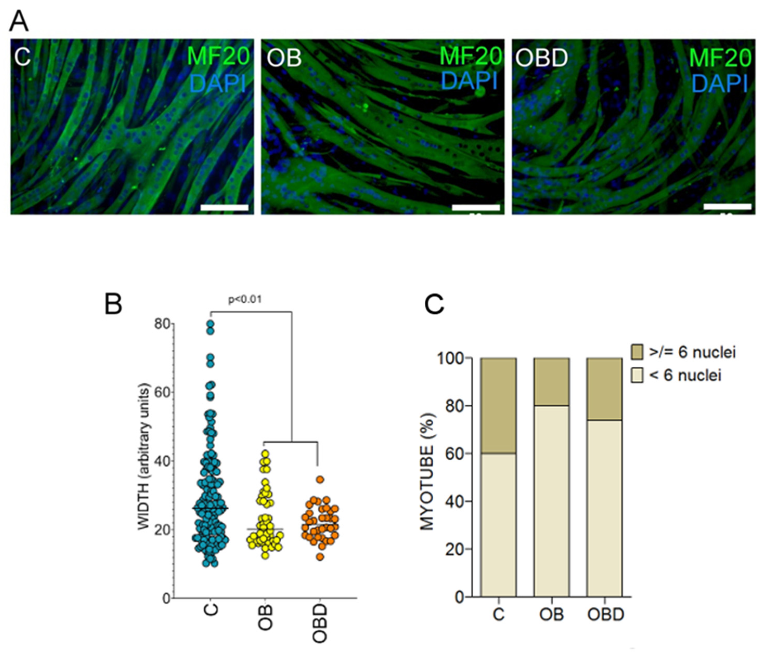 Biomolecules 11 00769 g003 Biomolecules 11 00769 g003