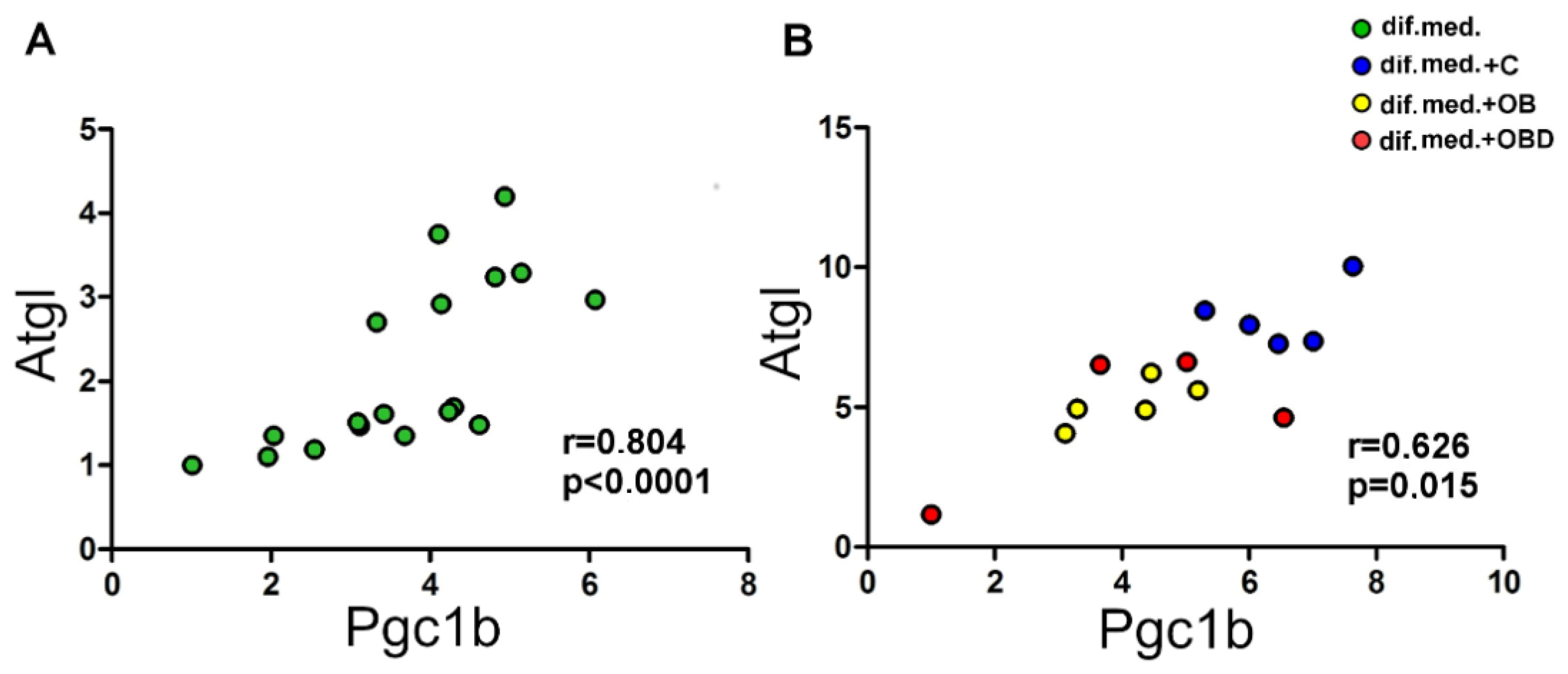 Biomolecules 11 00769 g006 Biomolecules 11 00769 g006