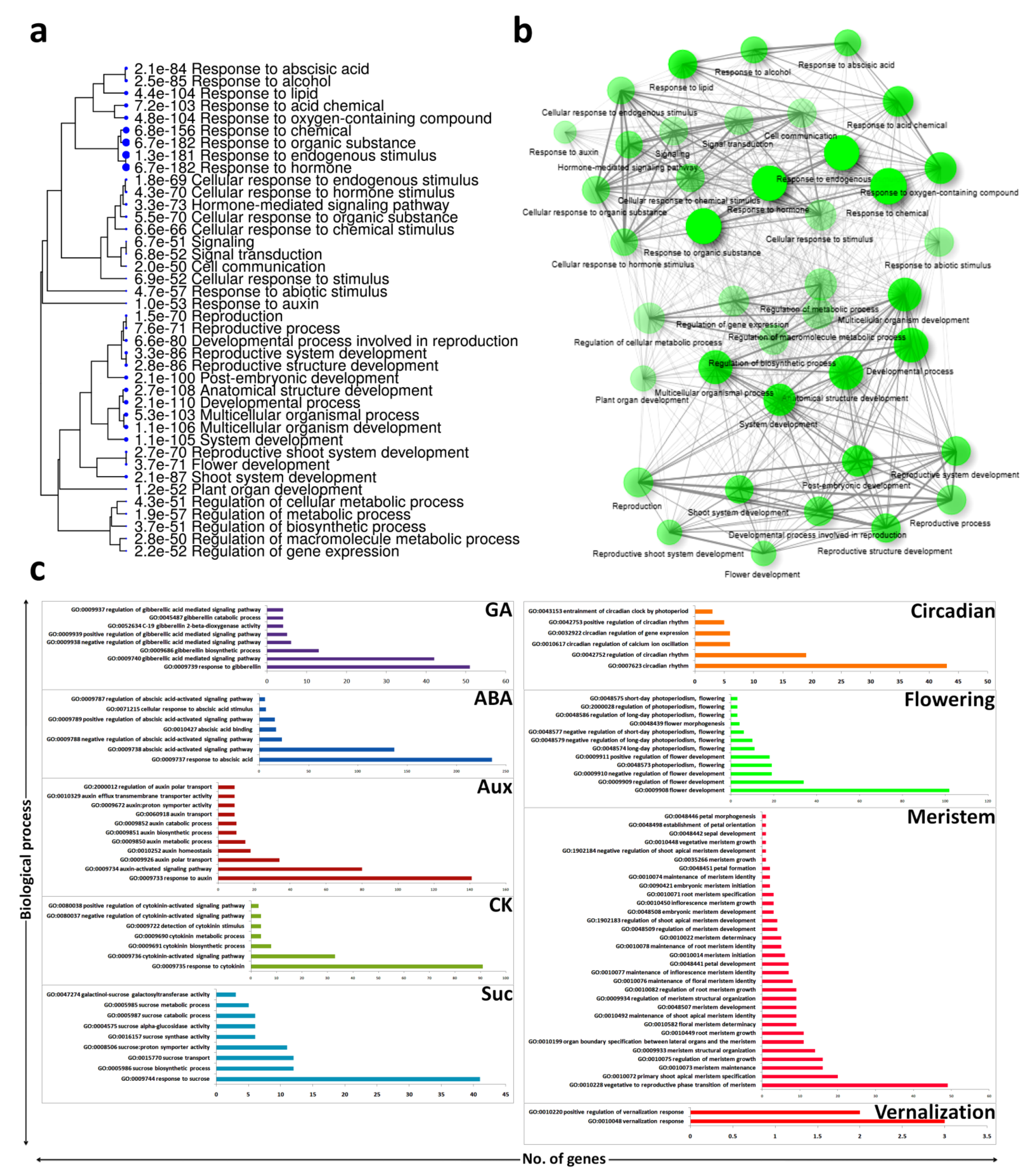 Biomolecules 11 00771 g001 Biomolecules 11 00771 g001