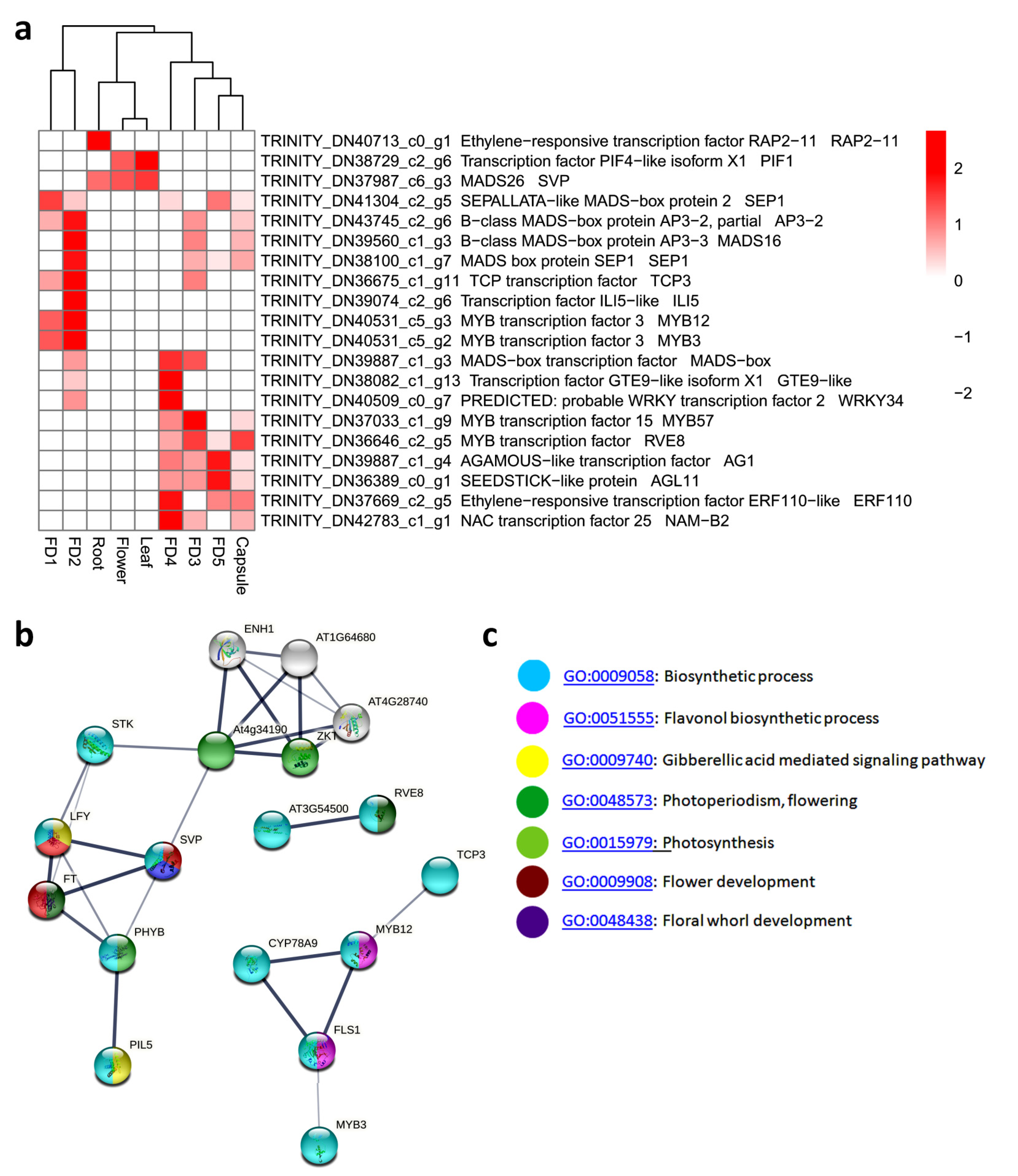 Biomolecules 11 00771 g004 Biomolecules 11 00771 g004