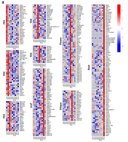 Biomolecules 11 00771 g005a Biomolecules 11 00771 g005a