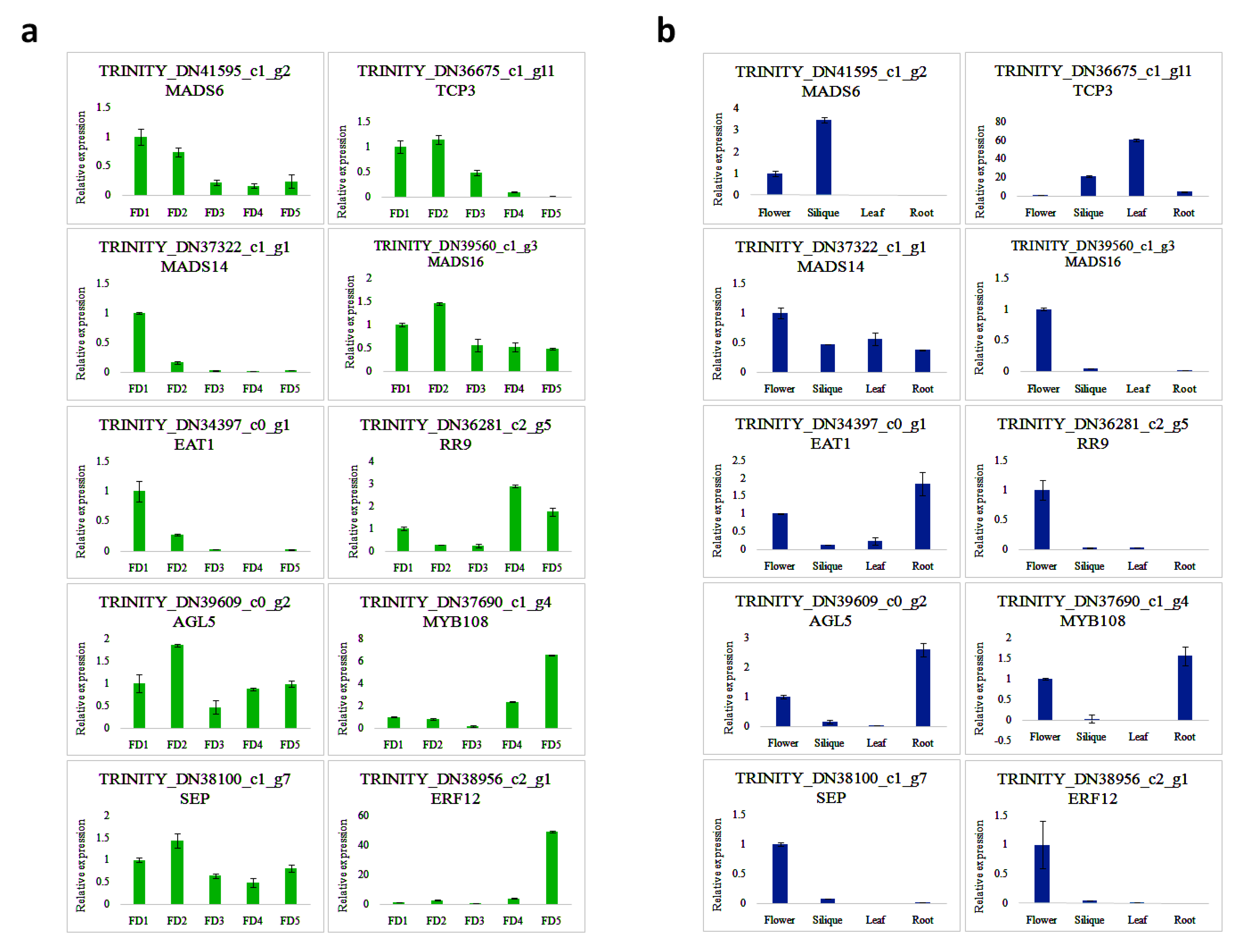 Biomolecules 11 00771 g006 Biomolecules 11 00771 g006