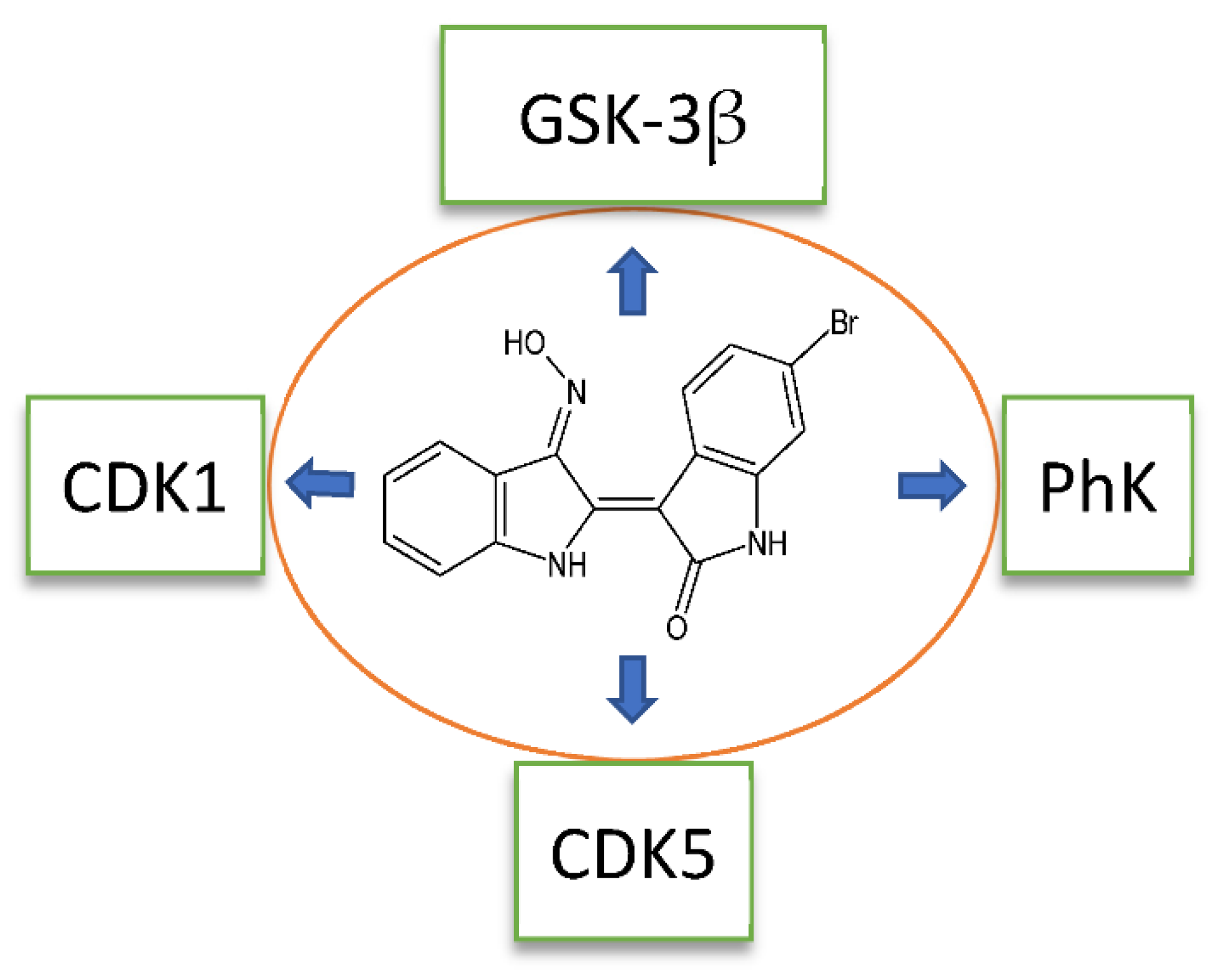Biomolecules 11 00777 g003