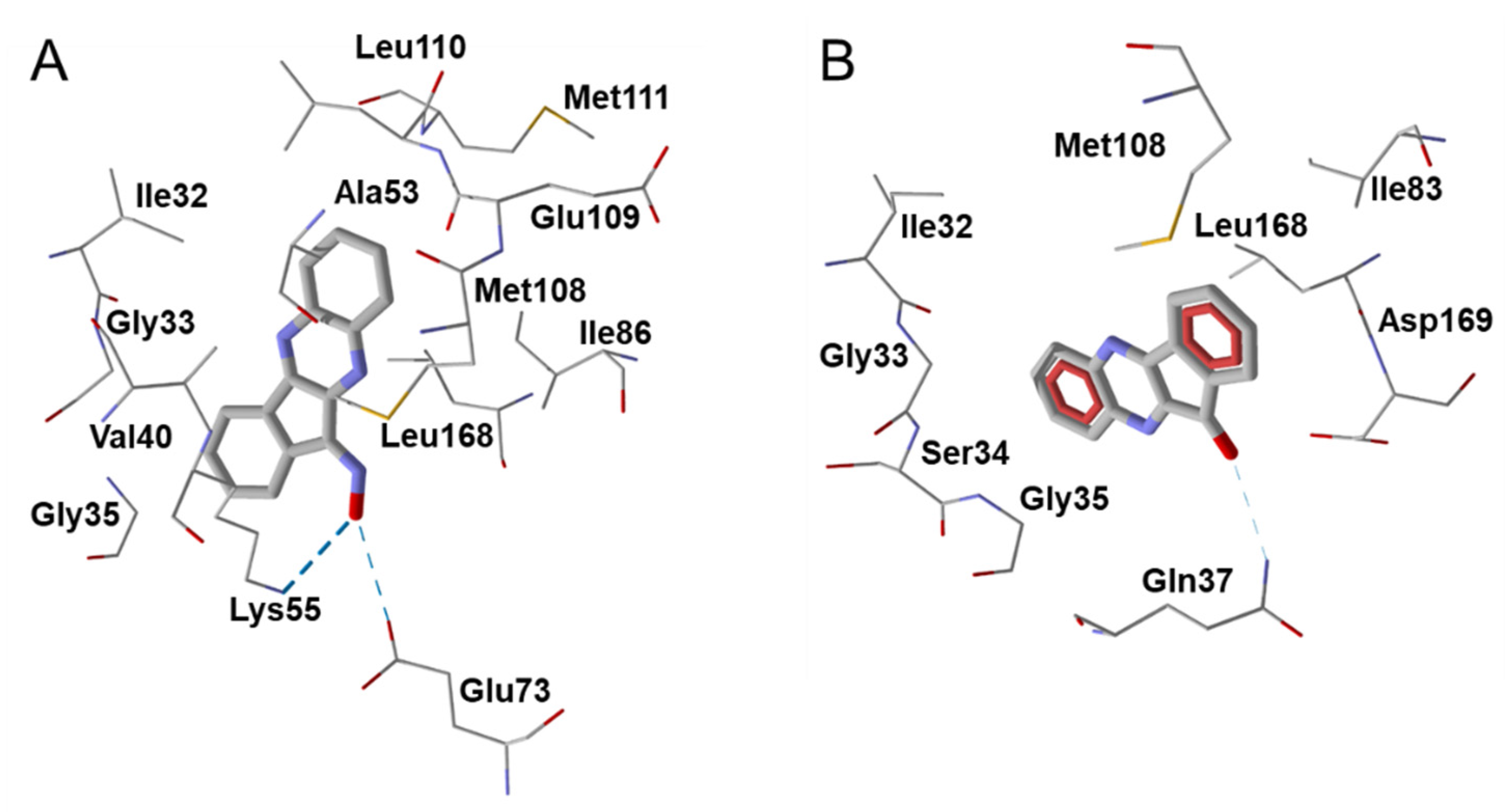 Biomolecules 11 00777 g005