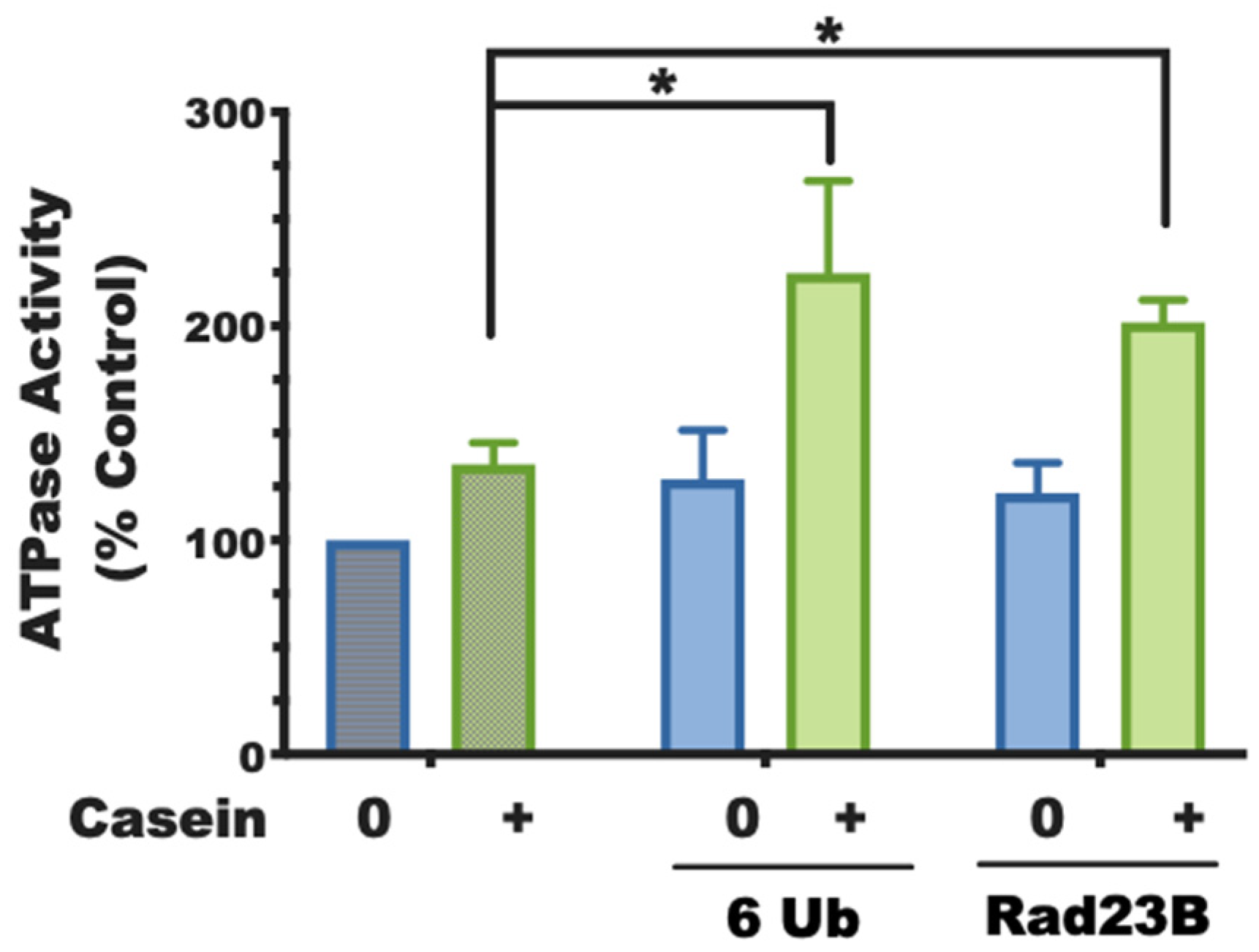 Biomolecules 11 00779 g002