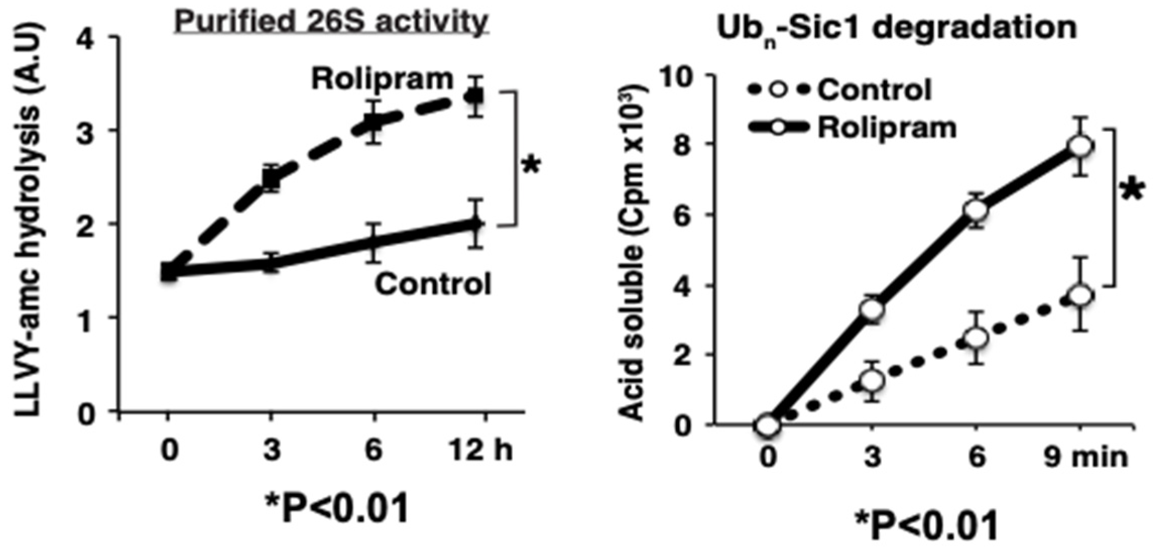Biomolecules 11 00779 g005