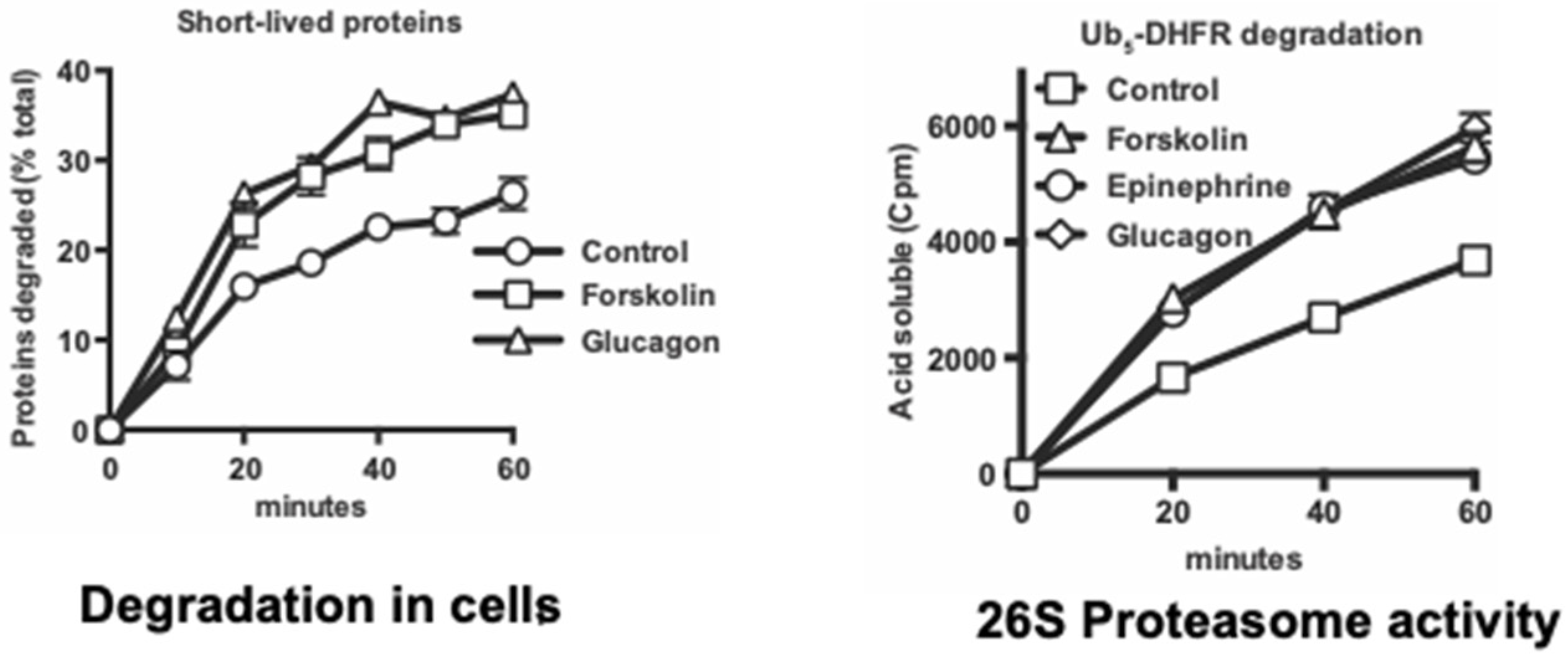 Biomolecules 11 00779 g006