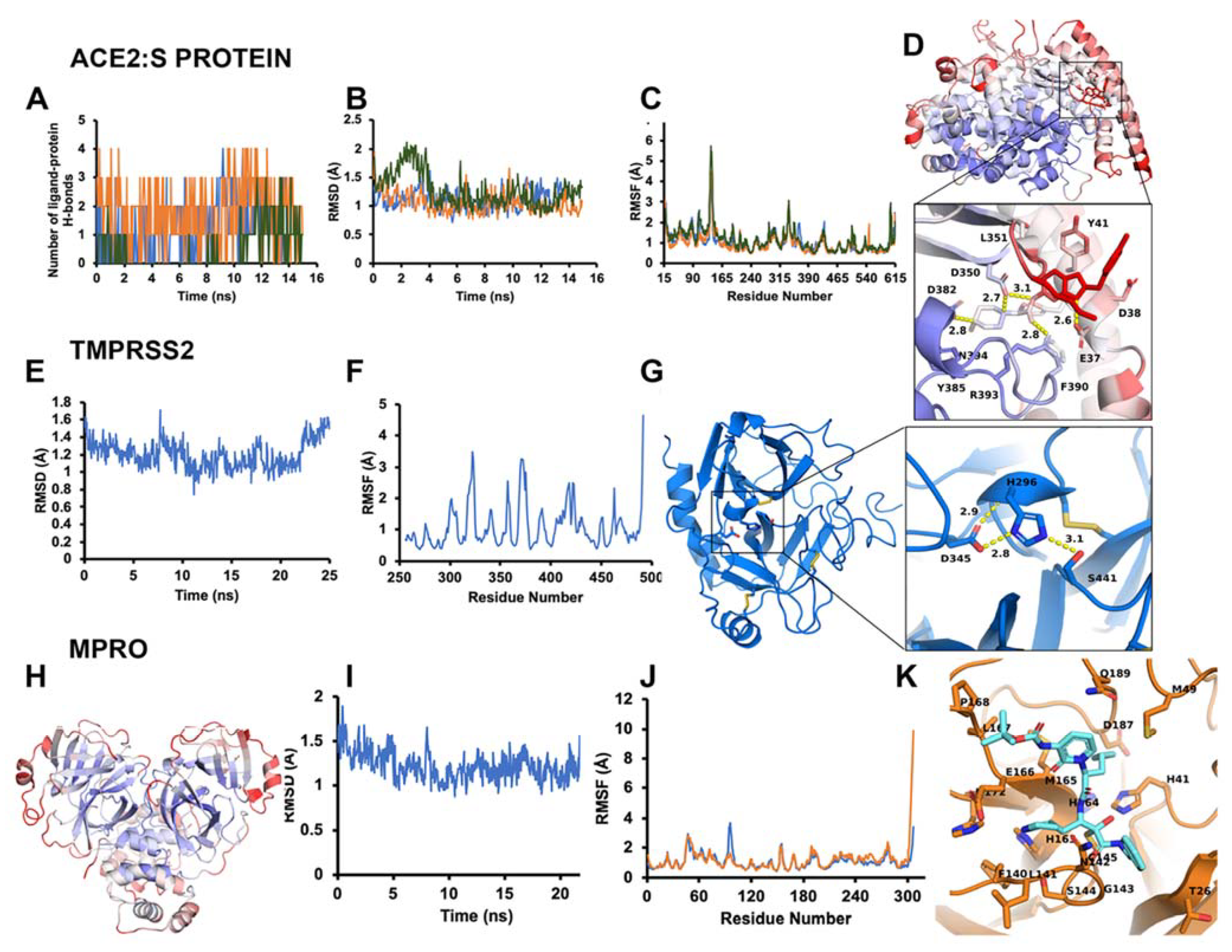 Biomolecules 11 00787 g004 Biomolecules 11 00787 g004