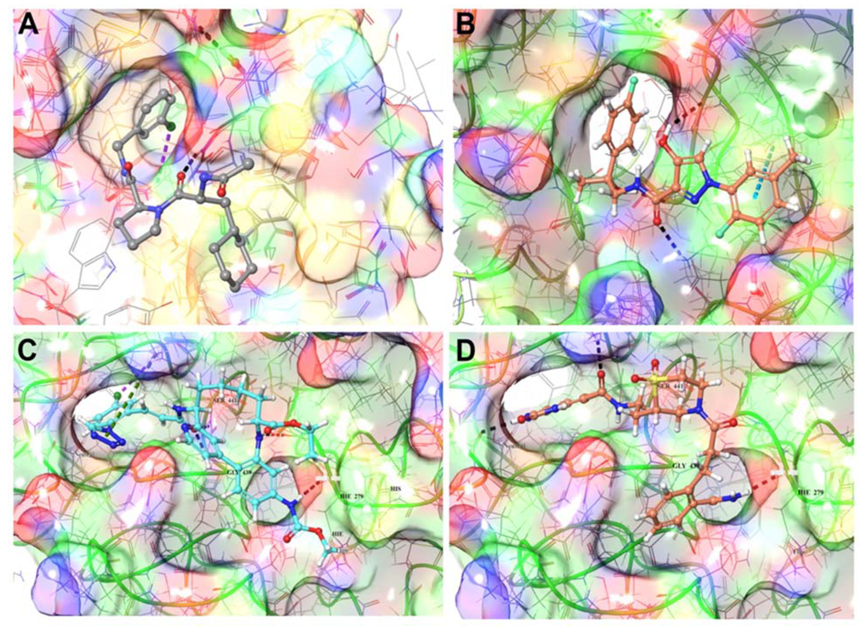 Biomolecules 11 00787 g005 Biomolecules 11 00787 g005