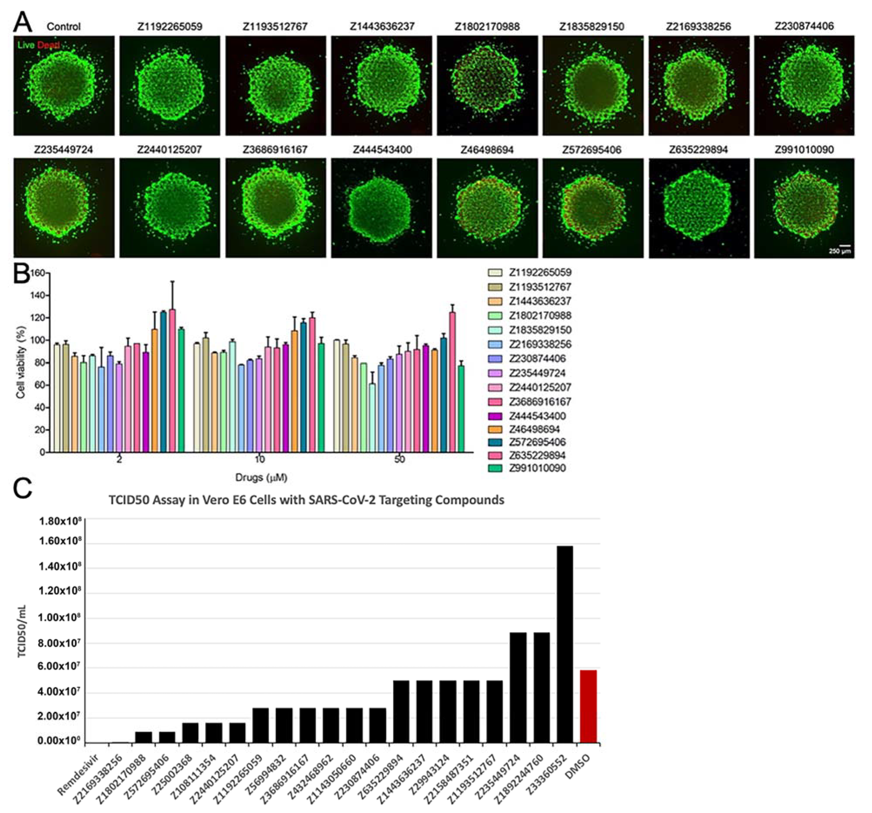 Biomolecules 11 00787 g007 Biomolecules 11 00787 g007