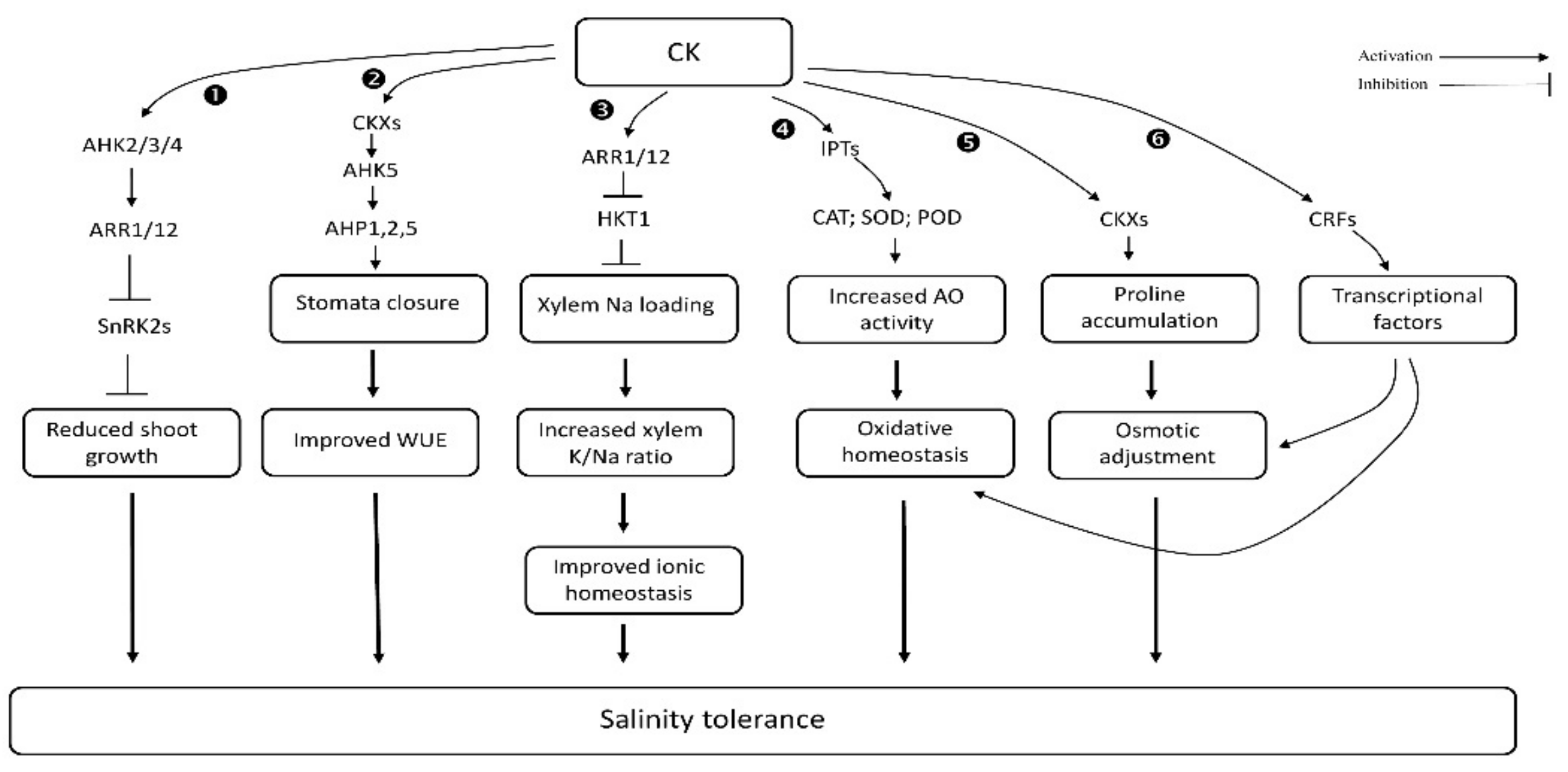 Biomolecules 11 00788 g001 Biomolecules 11 00788 g001