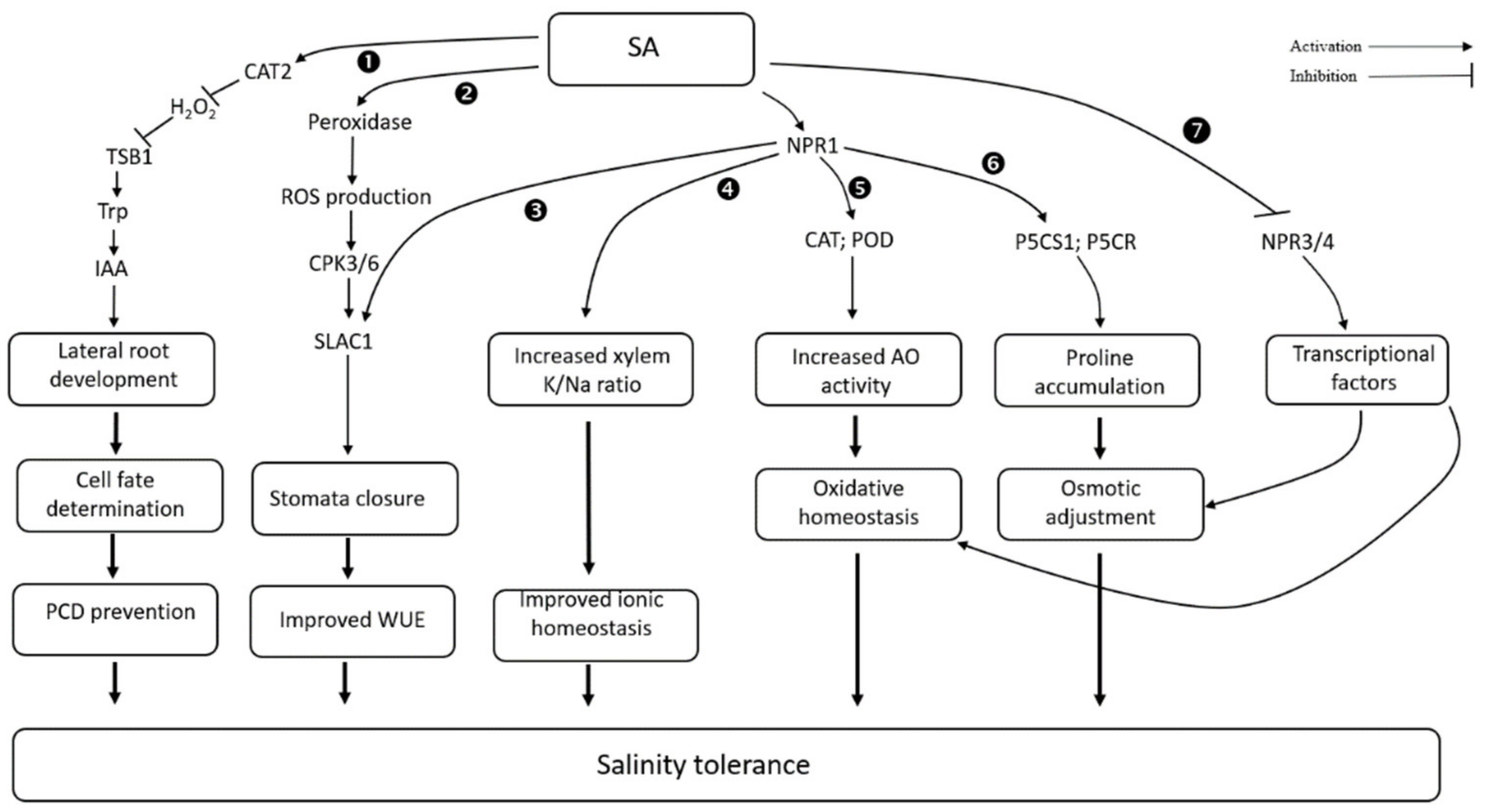 Biomolecules 11 00788 g002 Biomolecules 11 00788 g002