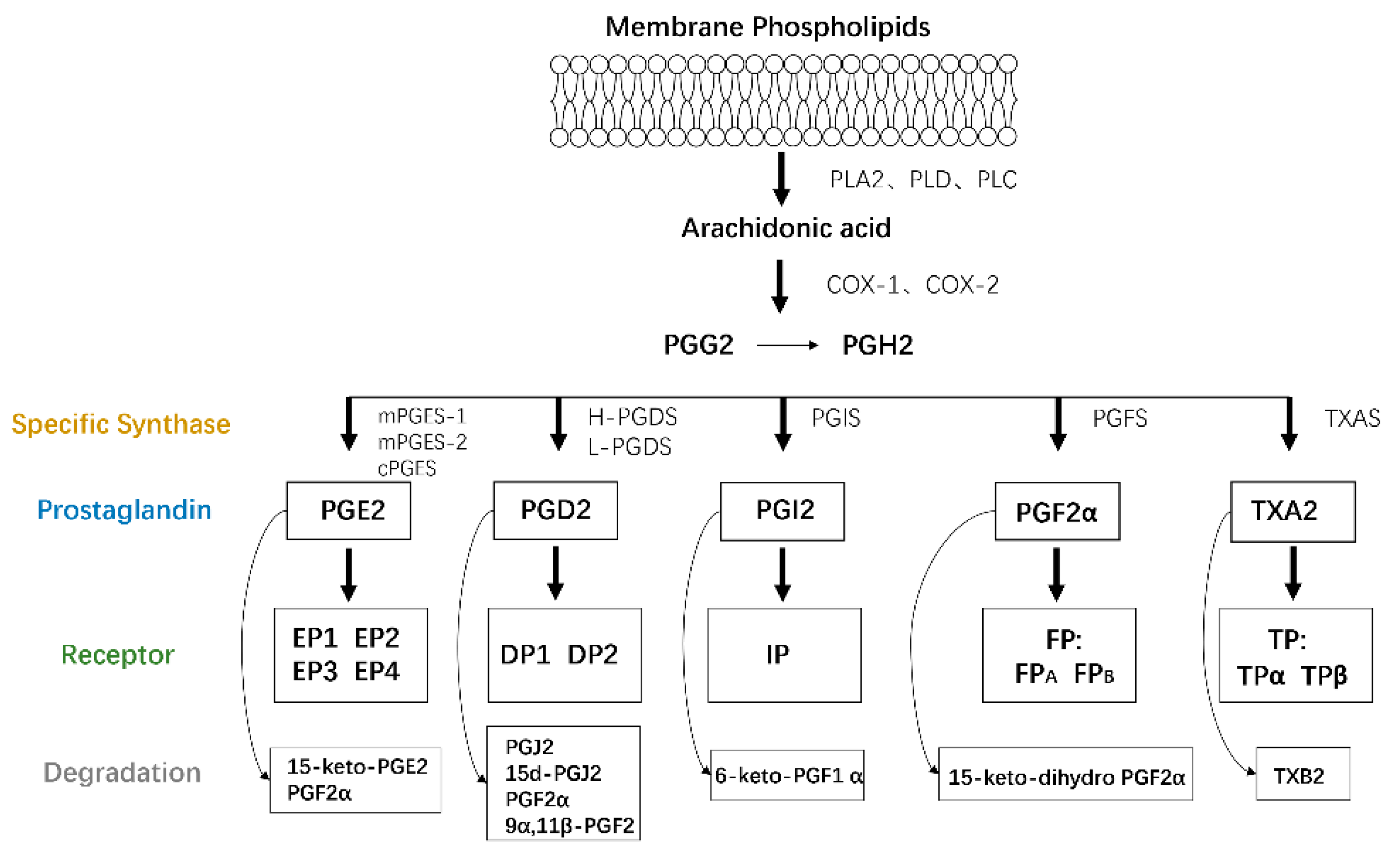 Biomolecules 11 00789 g001