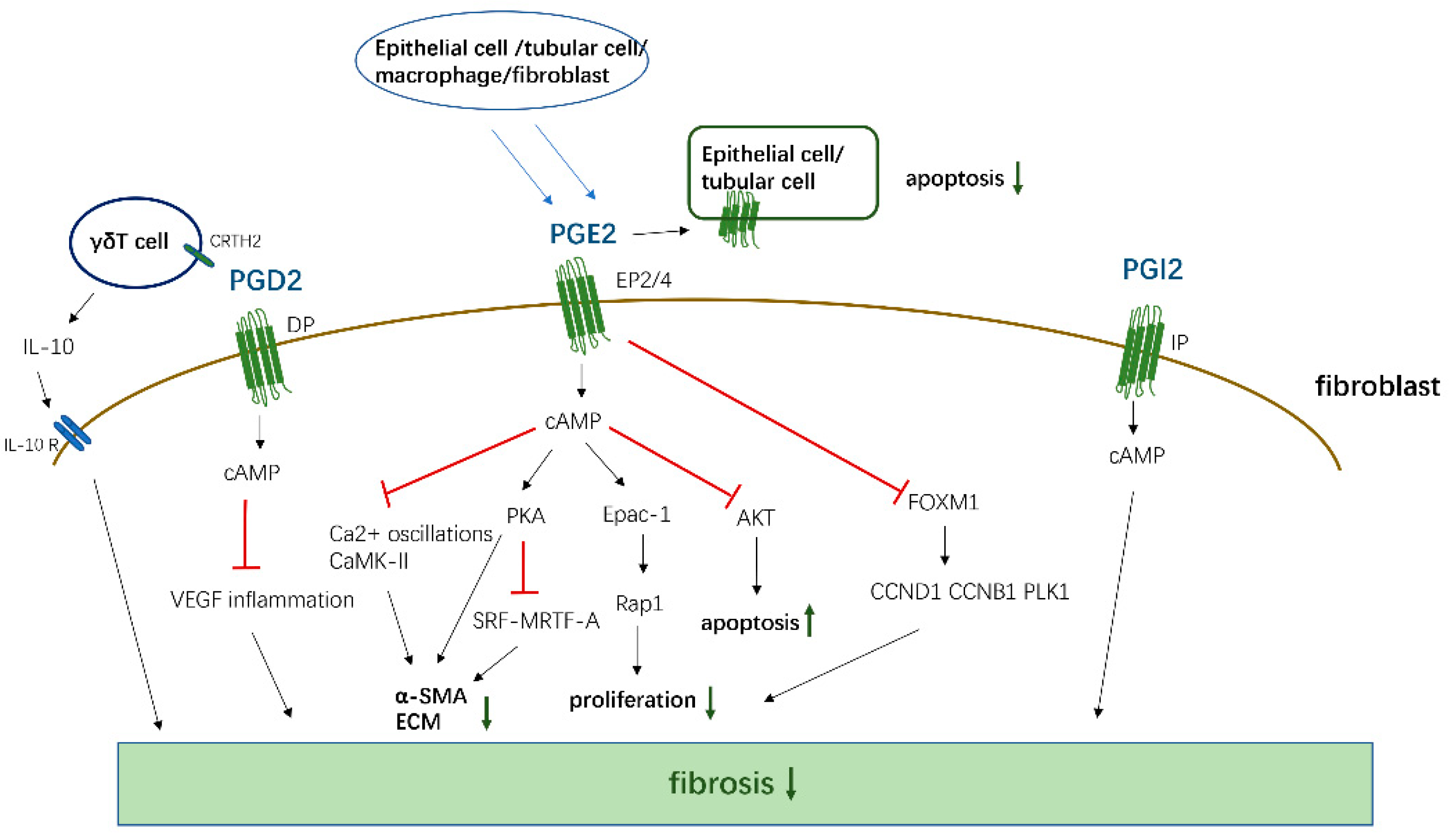 Biomolecules 11 00789 g002