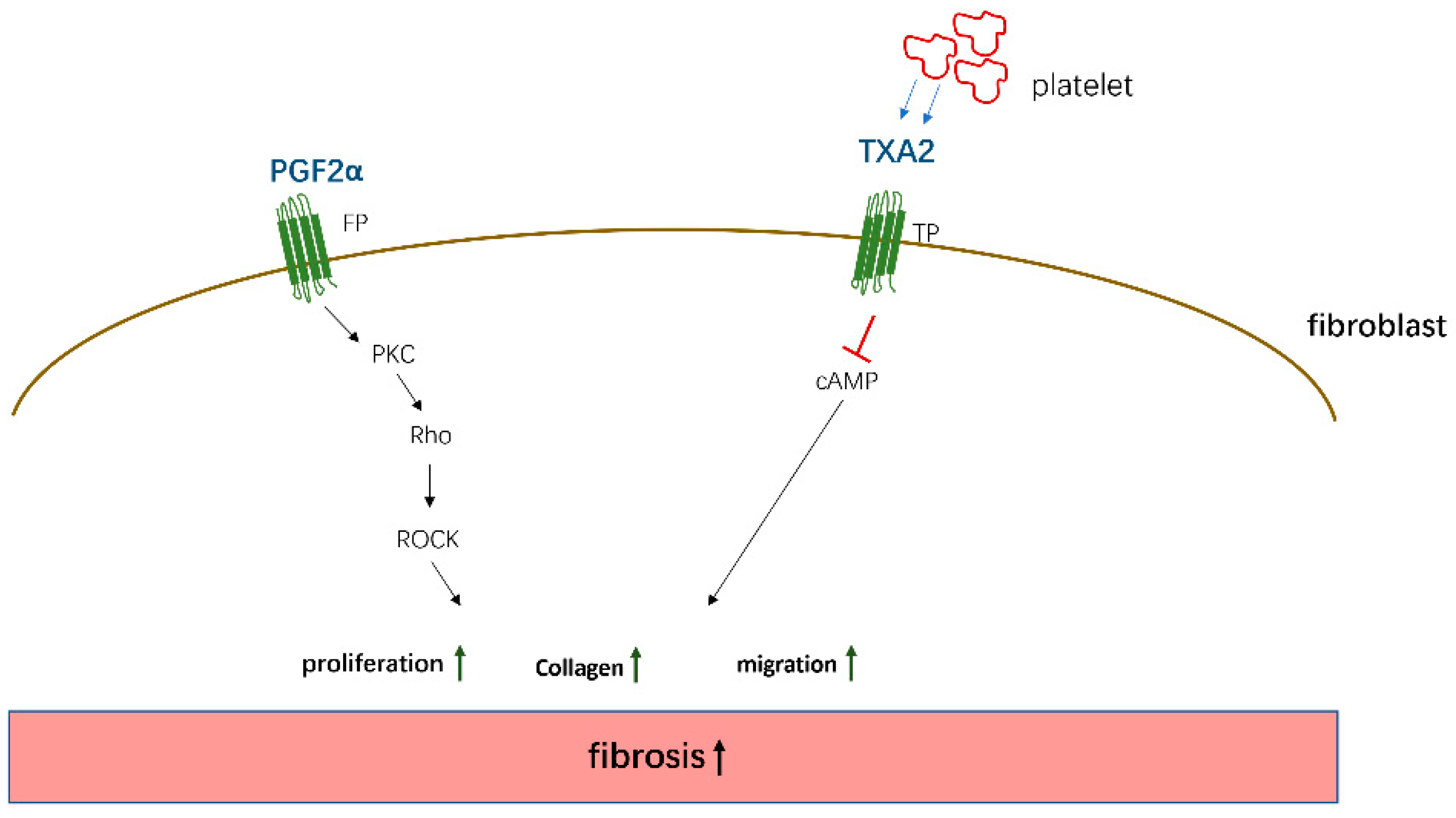 Biomolecules 11 00789 g003