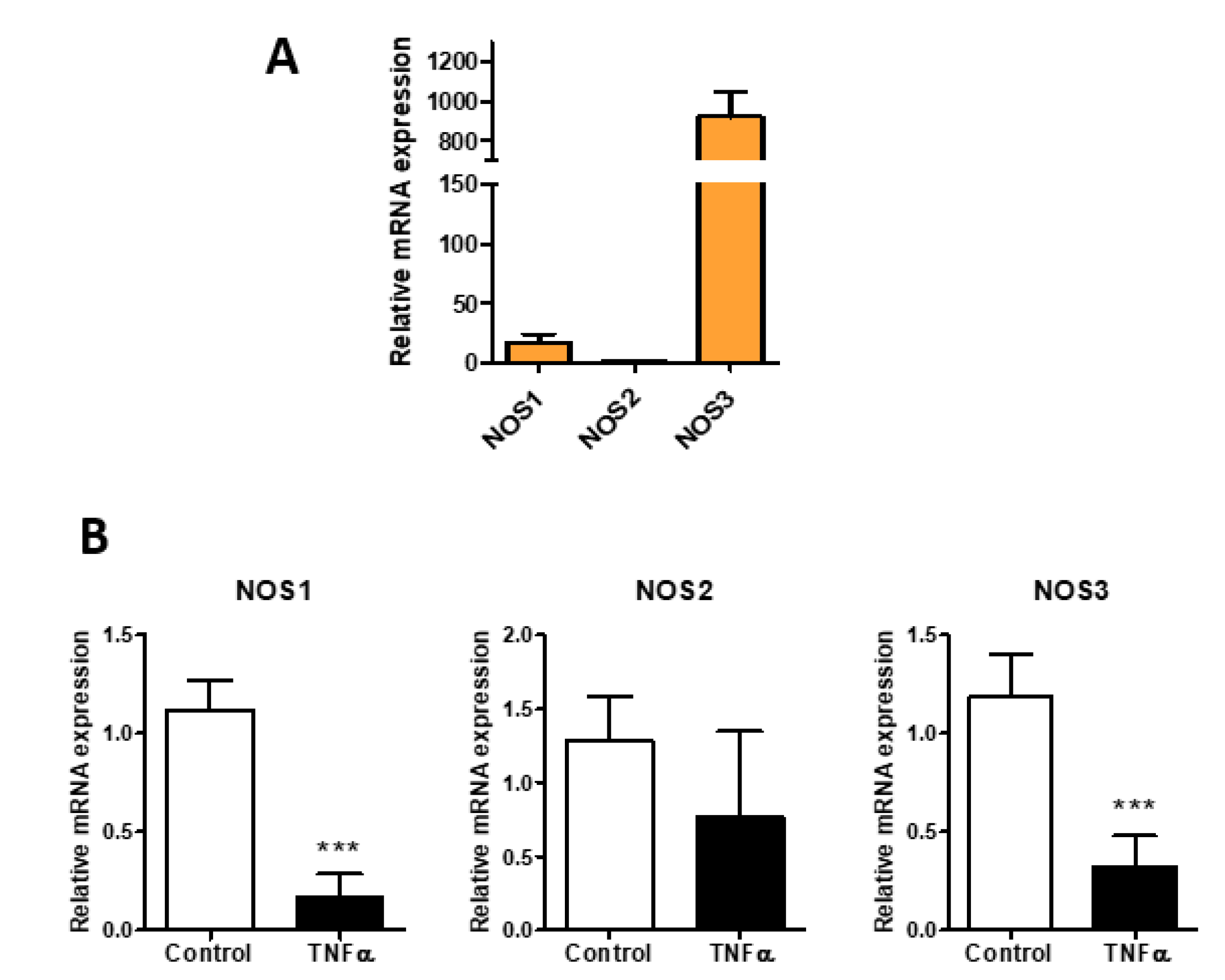 Biomolecules 11 00809 g001 Biomolecules 11 00809 g001