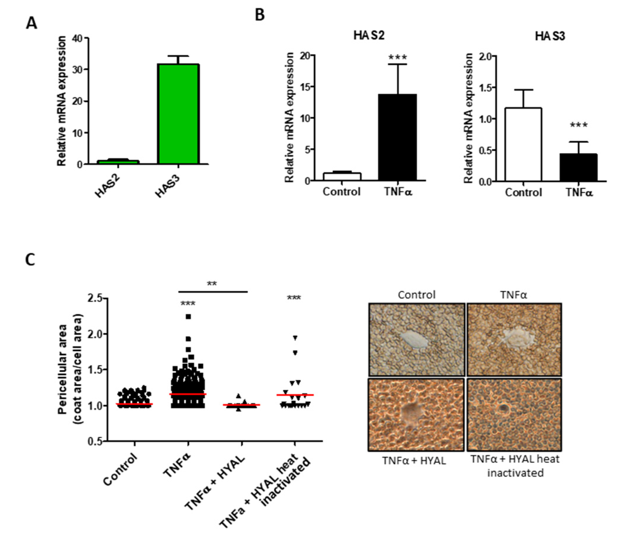 Biomolecules 11 00809 g002 Biomolecules 11 00809 g002
