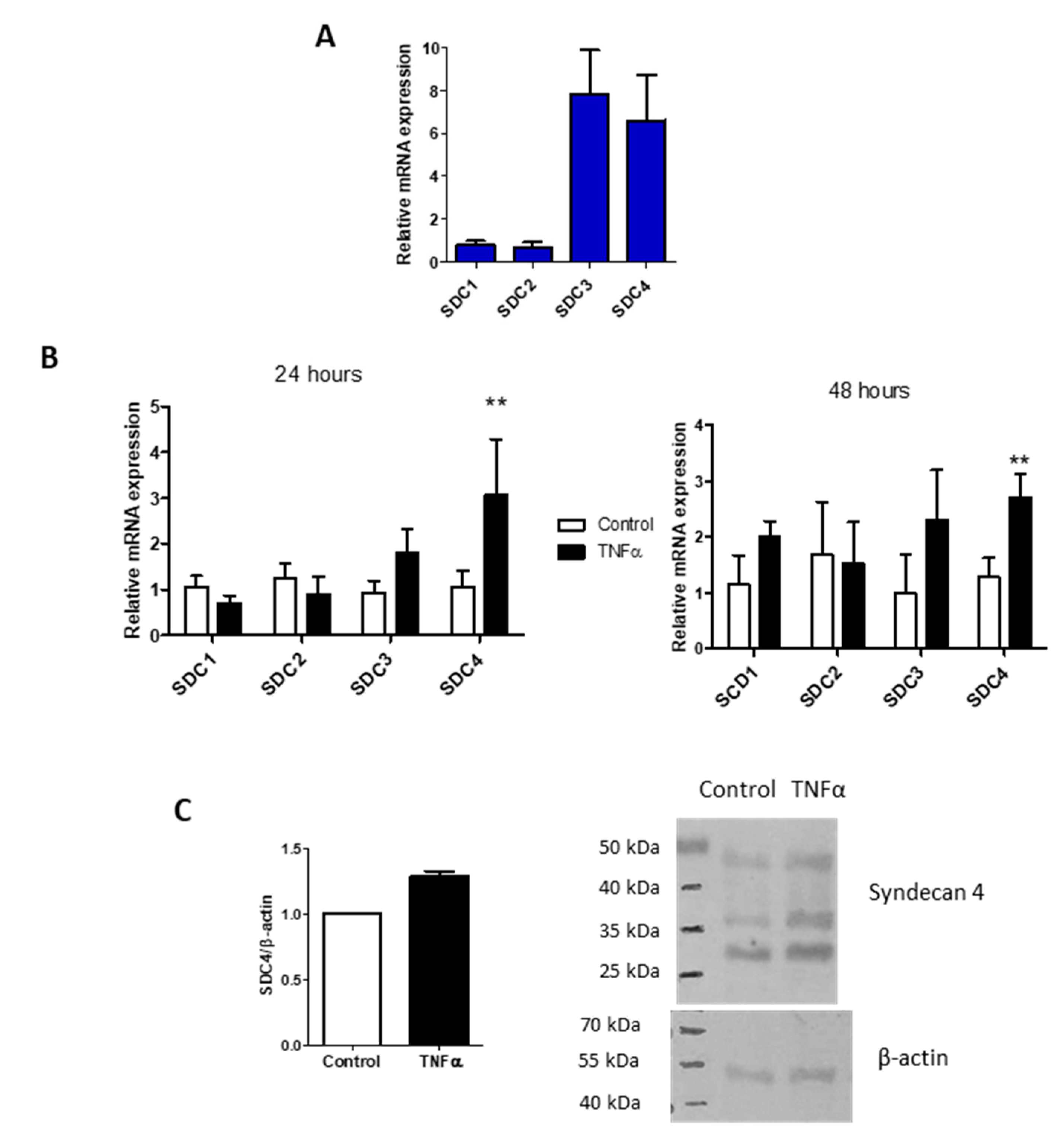 Biomolecules 11 00809 g003 Biomolecules 11 00809 g003