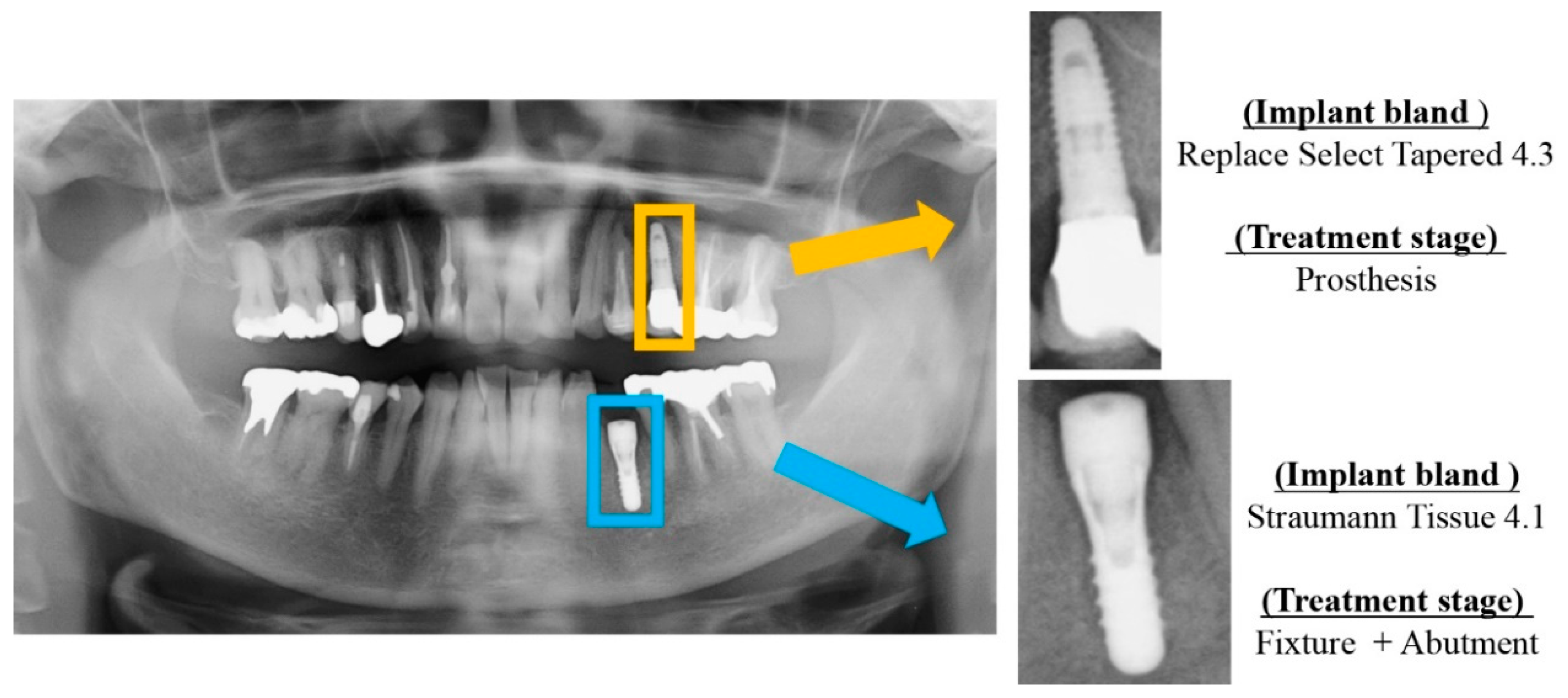 Biomolecules 11 00815 g001