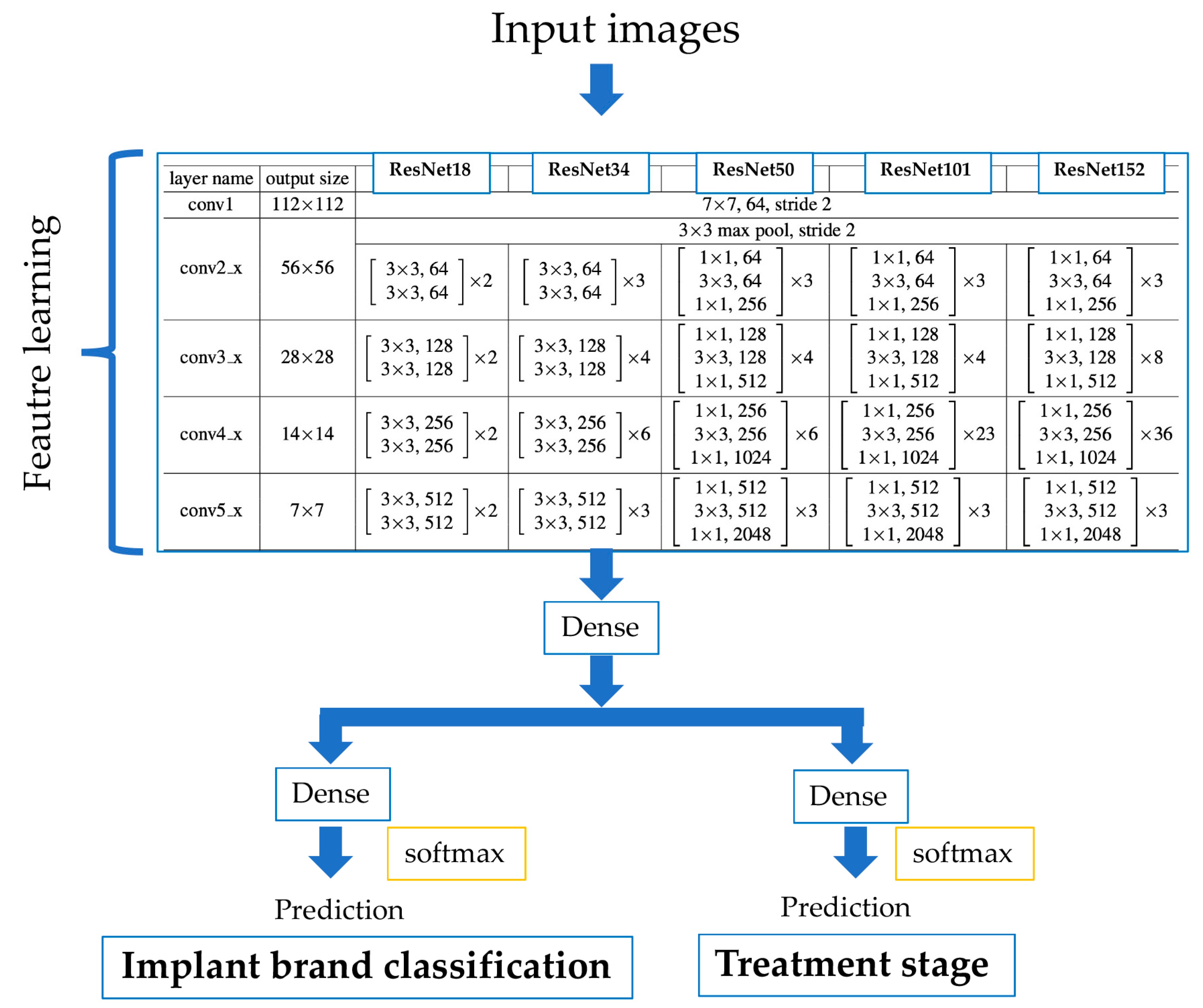 Biomolecules 11 00815 g002