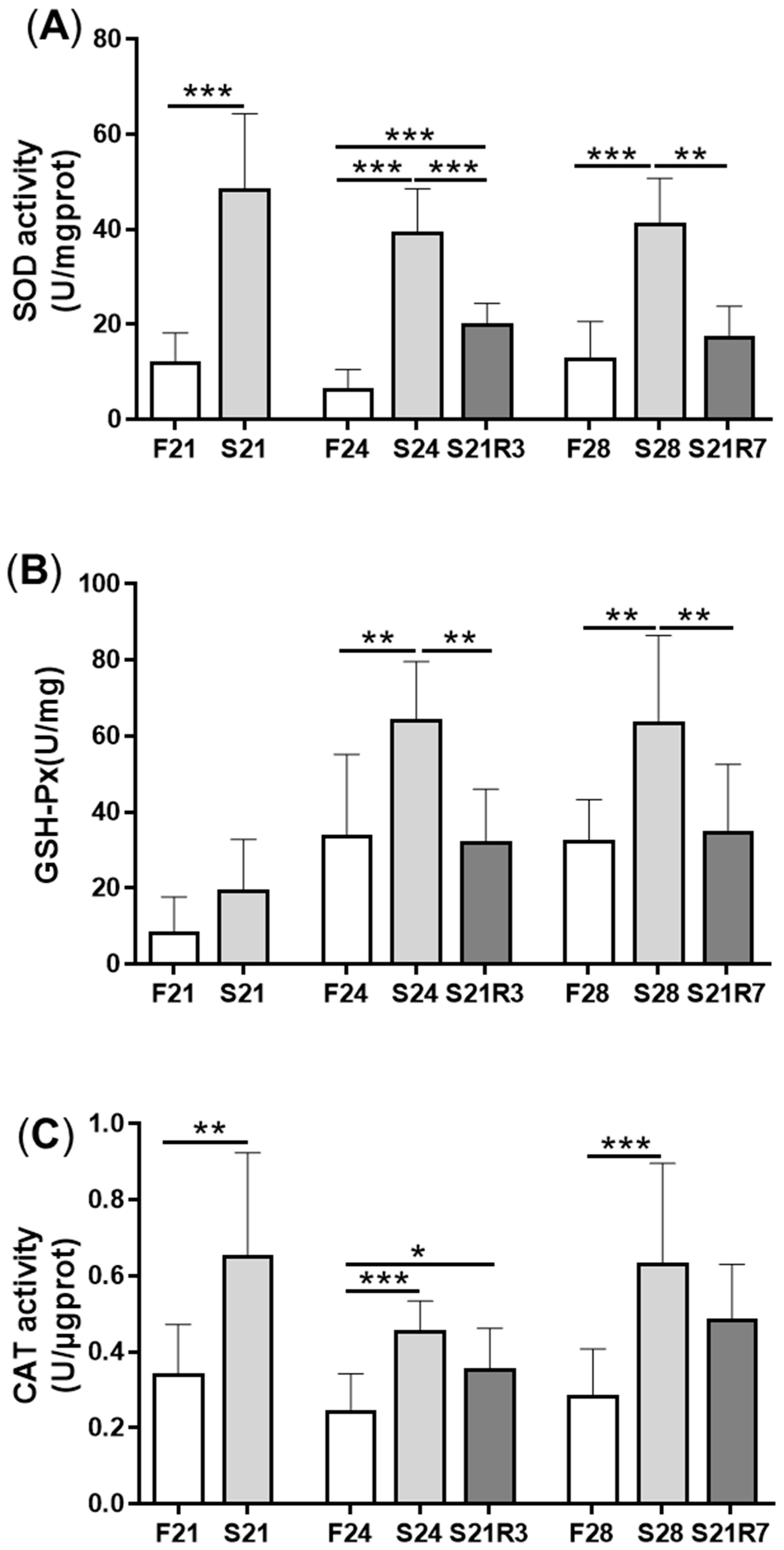 Biomolecules 11 00825 g004 Biomolecules 11 00825 g004