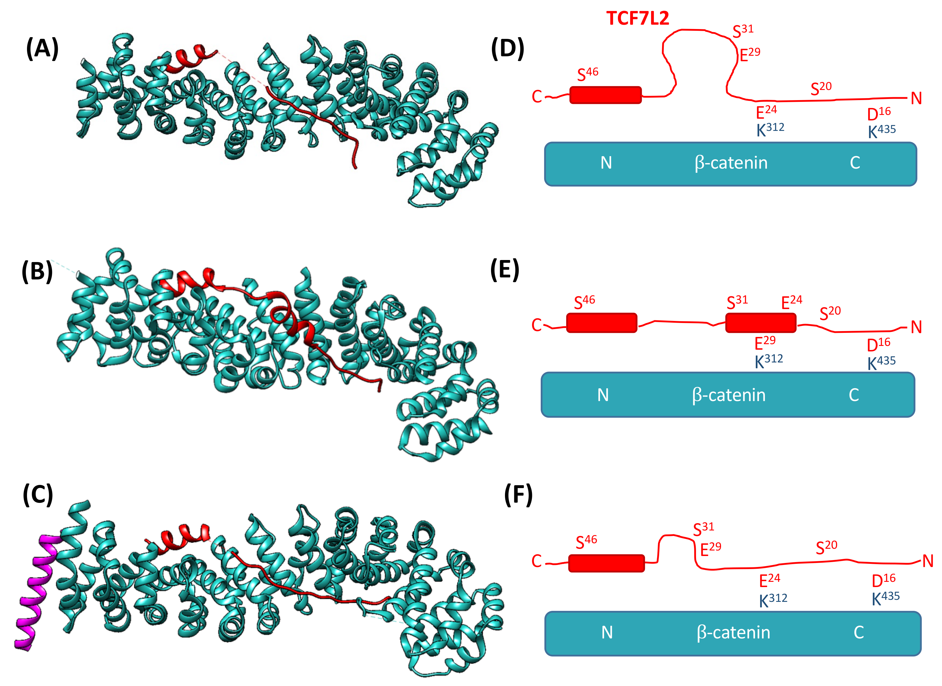Biomolecules 11 00827 g002 Biomolecules 11 00827 g002
