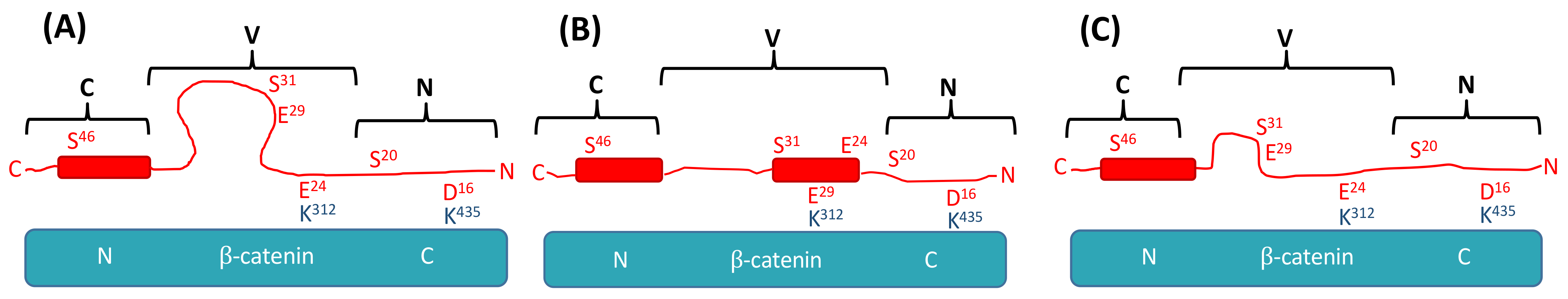 Biomolecules 11 00827 g005 Biomolecules 11 00827 g005