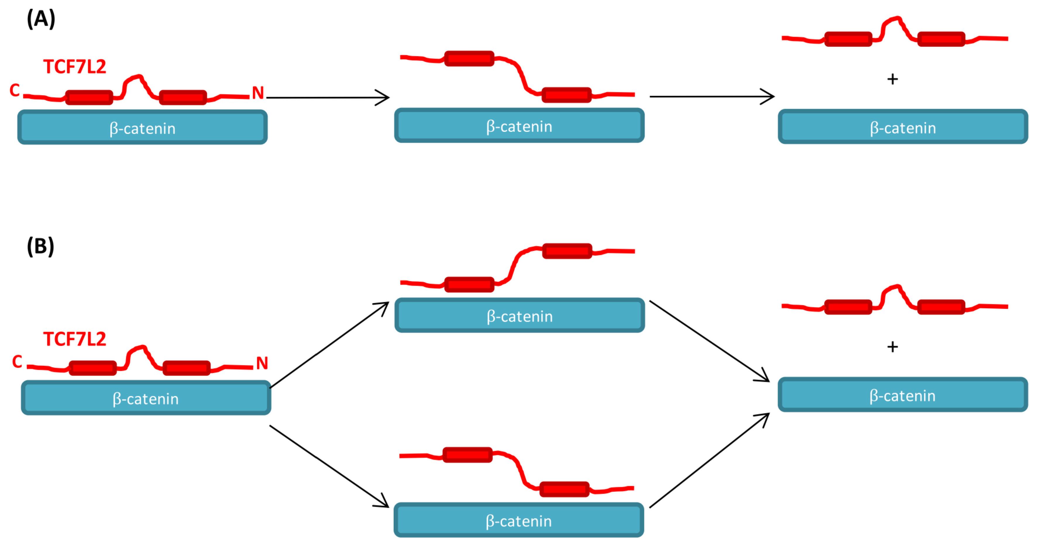 Biomolecules 11 00827 g008 Biomolecules 11 00827 g008